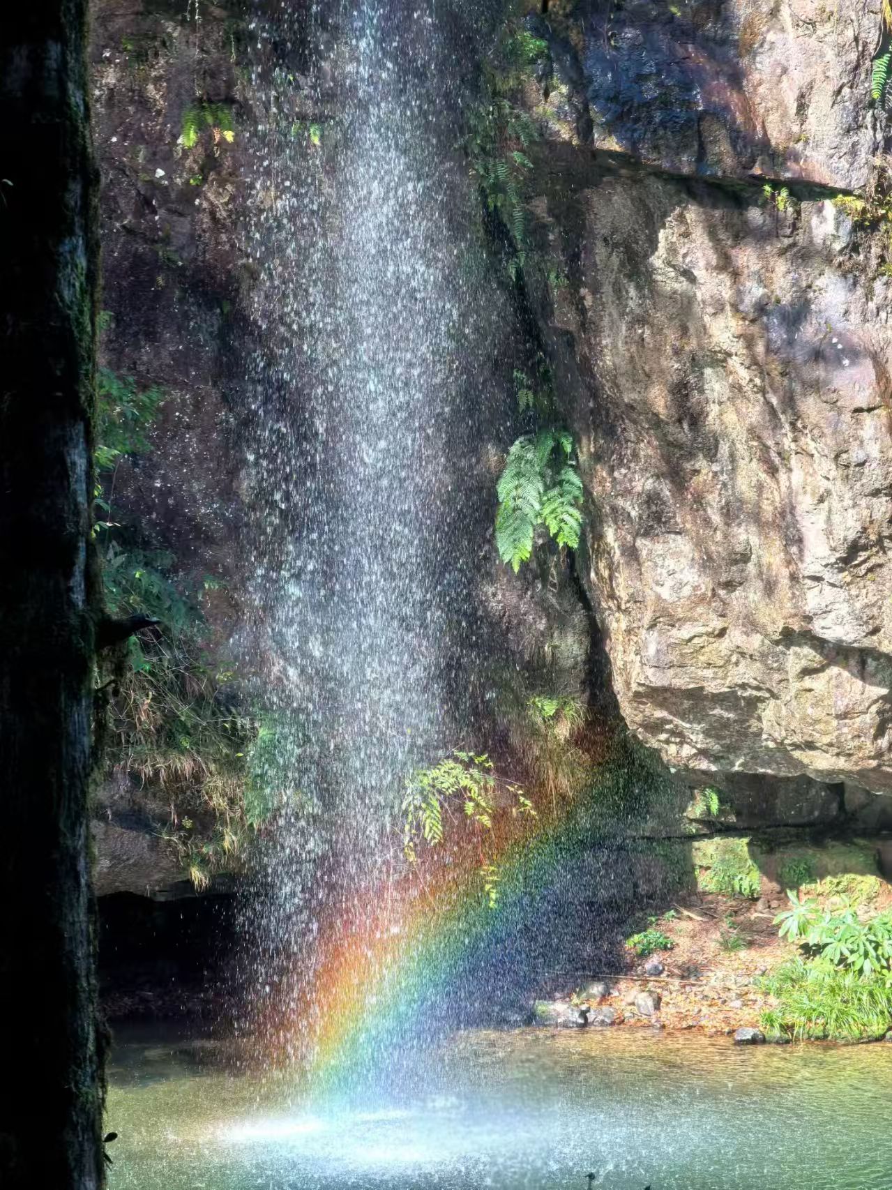 1764578820458882.jpg 4f30b7d3b5fa63bef0e96ff5564ddc4.jpg