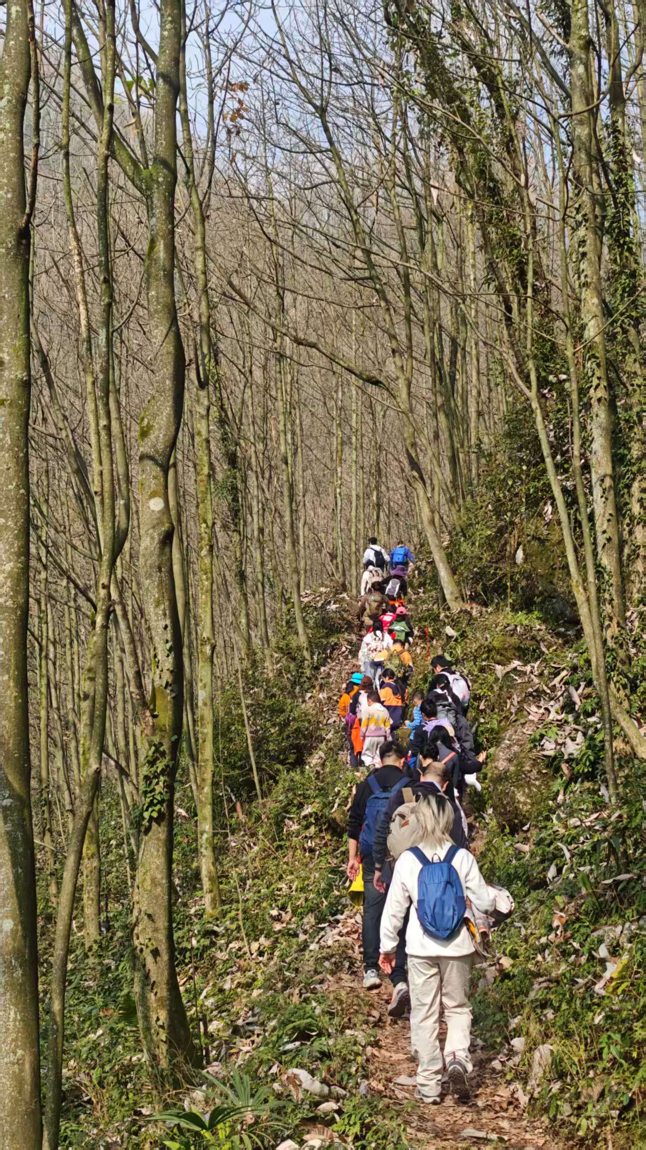 1764579001722097.jpg a8cba20cd7efdd8bc40cc2b3d55bcd8.jpg