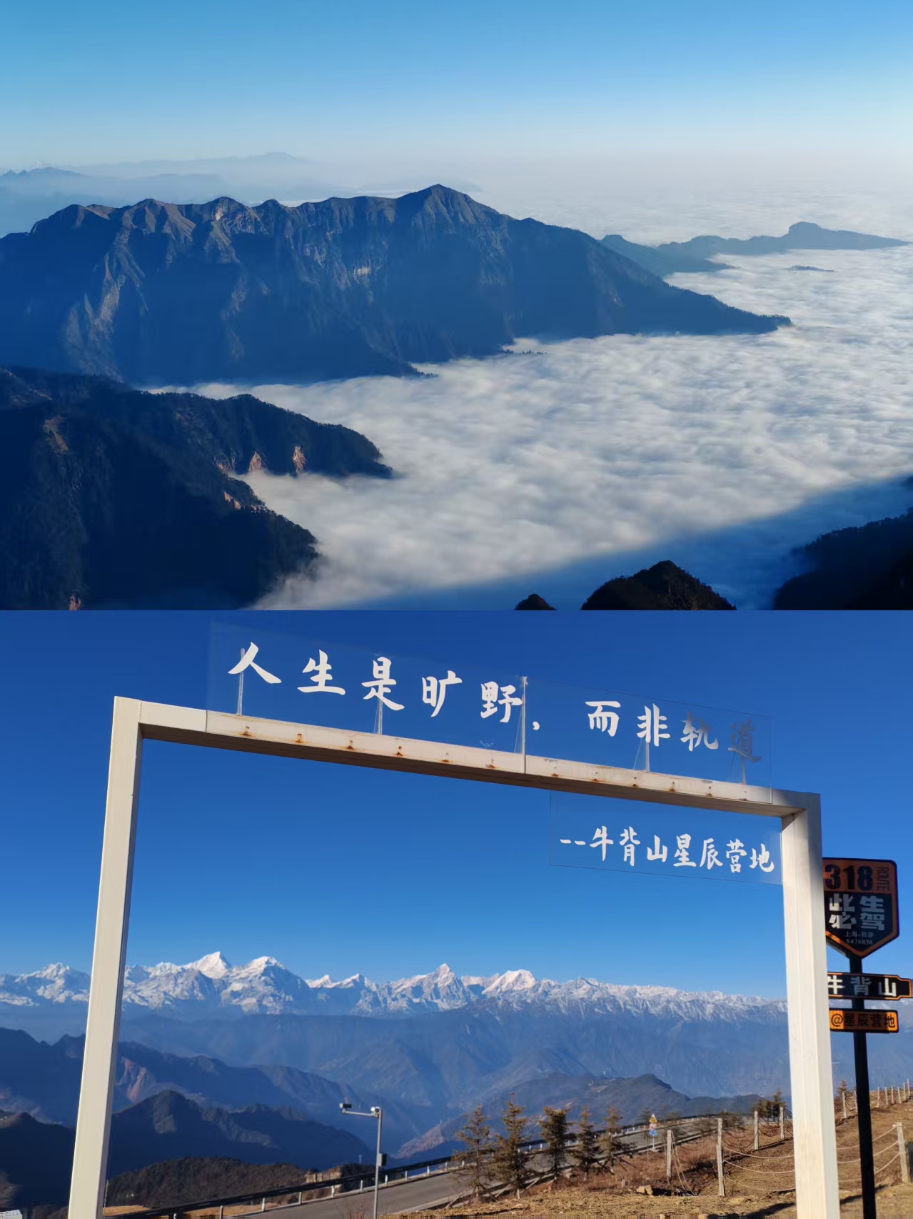 1765437041476108.jpg 28ce1813bf37a1a727e6db7aac3d7f1.jpg