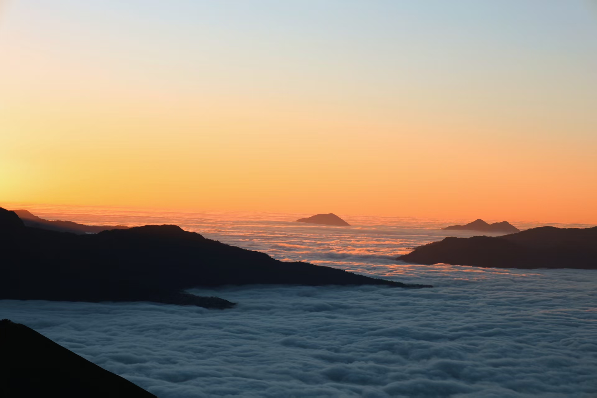 1765769905389837.jpg ae9996c51697f0a759bc92bef0fbef5.jpg