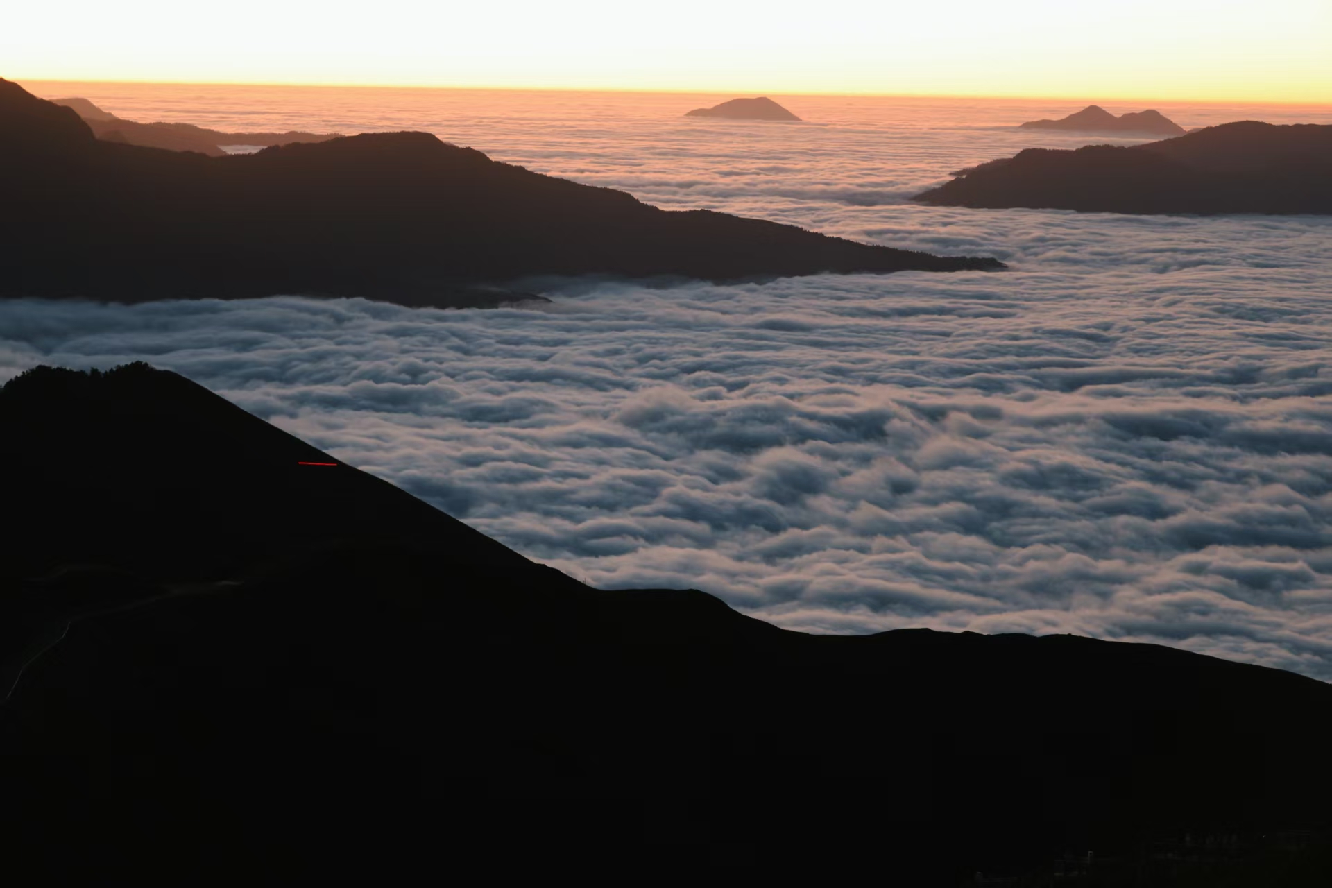 1765770011805910.jpg 2fd948855c0b82214cf292aa7bc4449.jpg