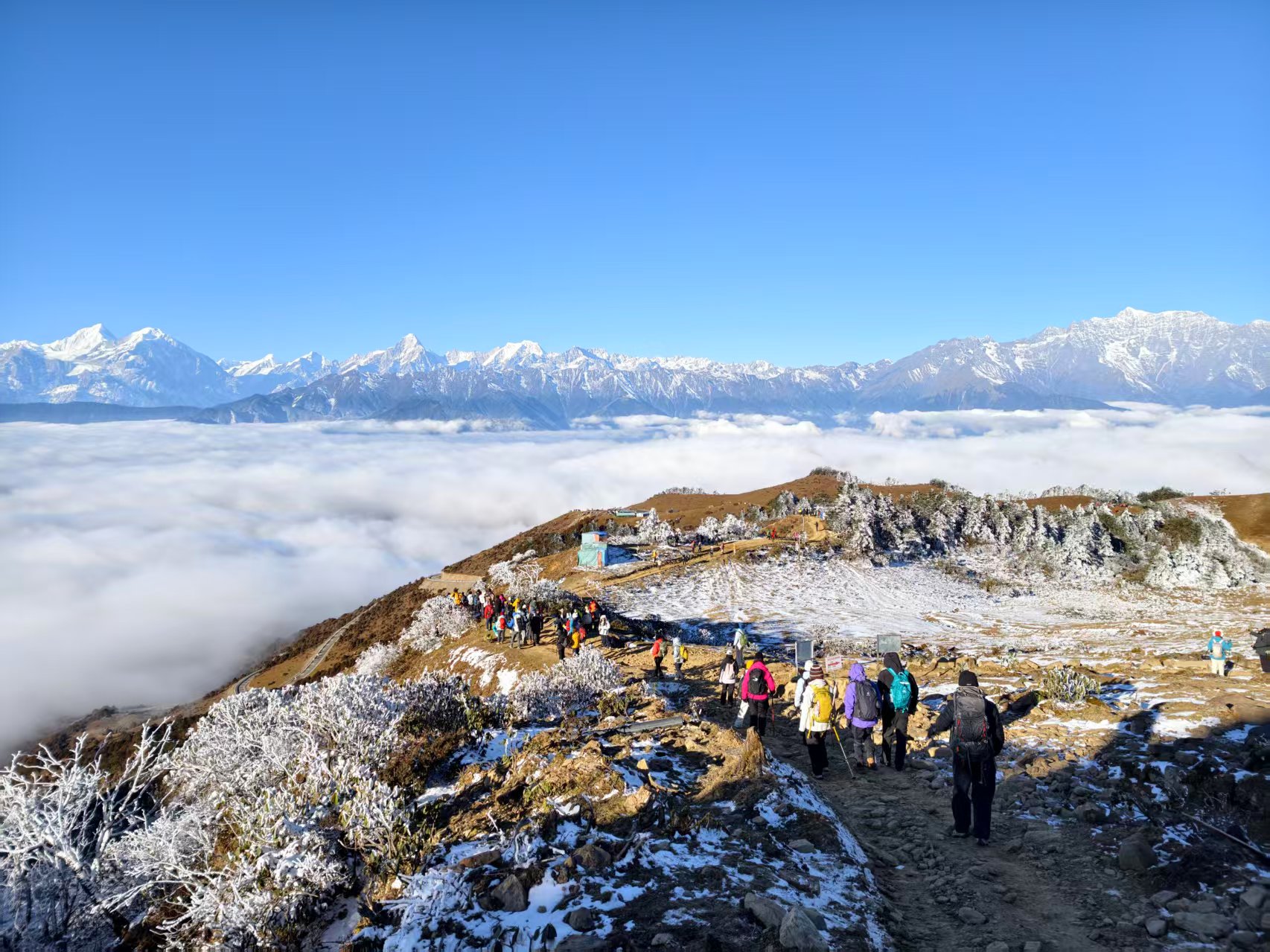 1765771283453101.jpg e2f59fb8128439b09ba55b842007690.jpg