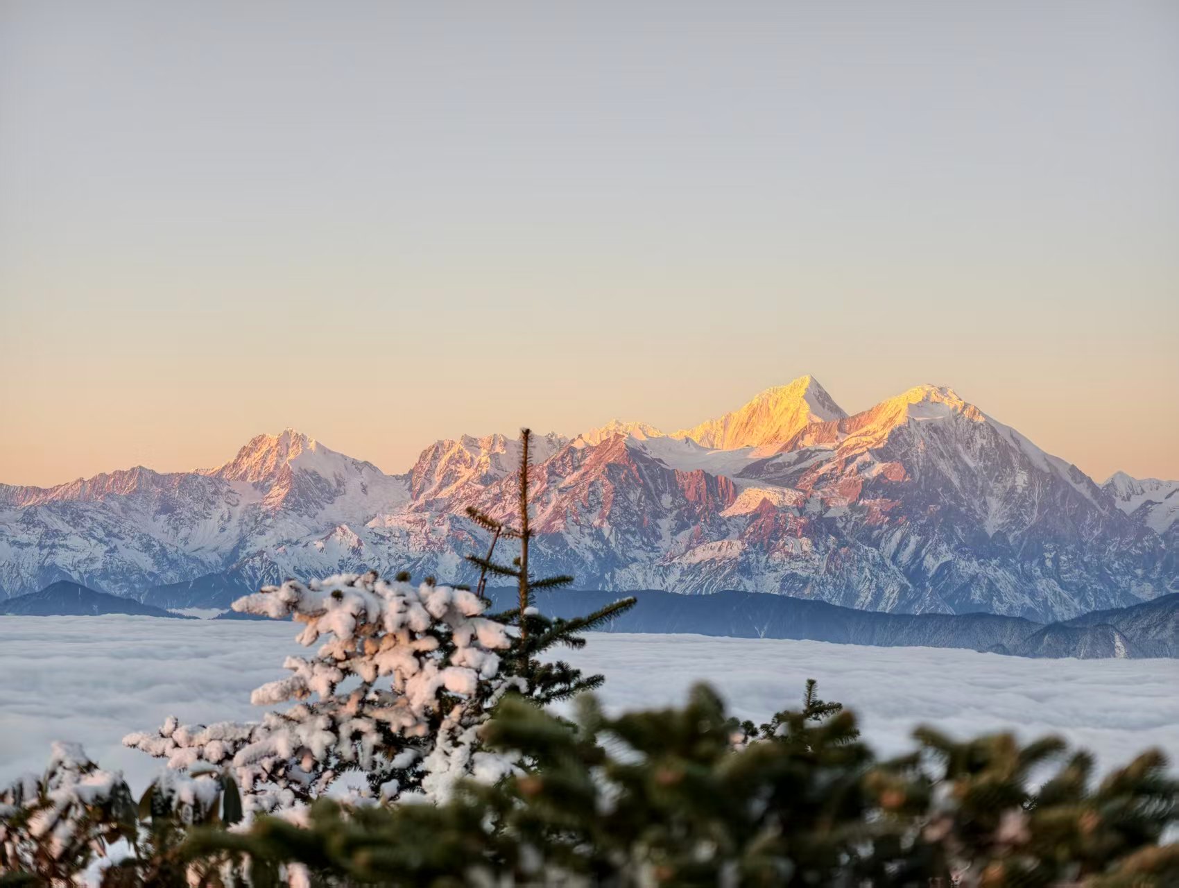 1765771382149587.jpg 54c7083d4b512fa0569196bcc964ea0.jpg