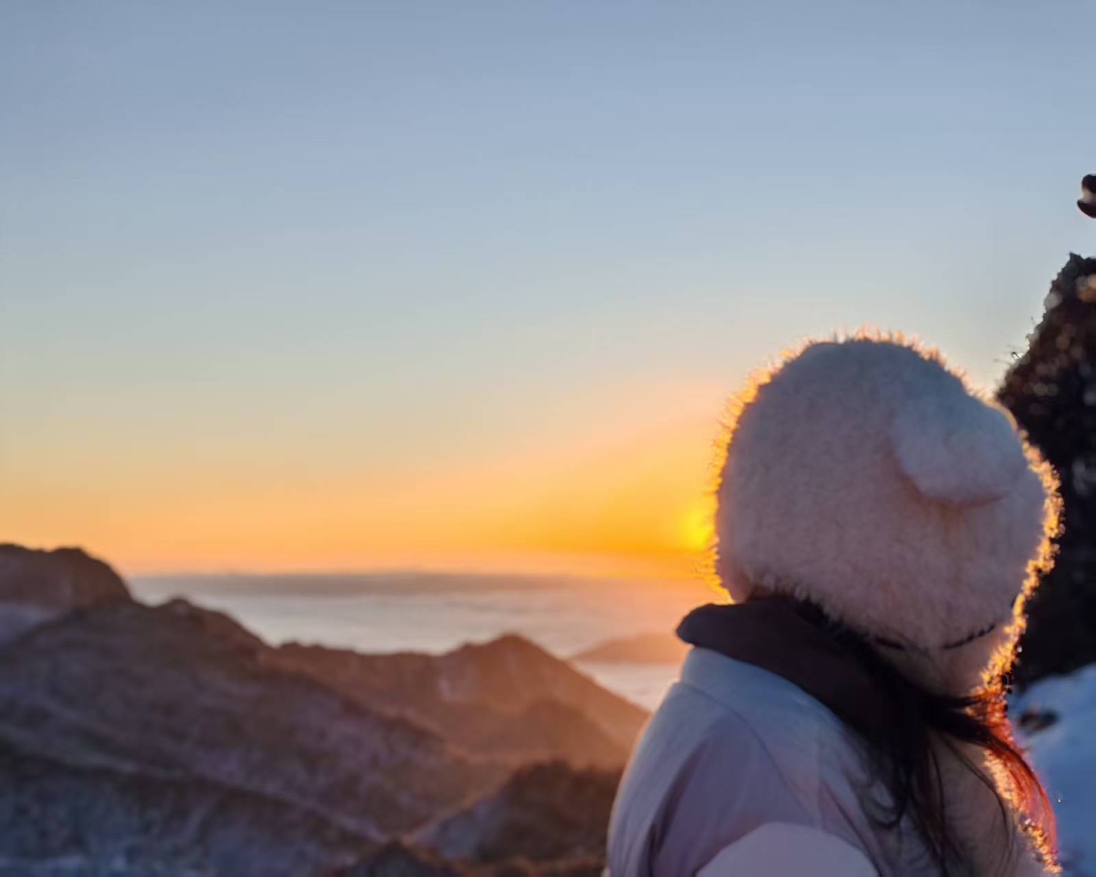 1765771416872527.jpg 45c7e10e77de75c386c1e73fbfa6cb0.jpg