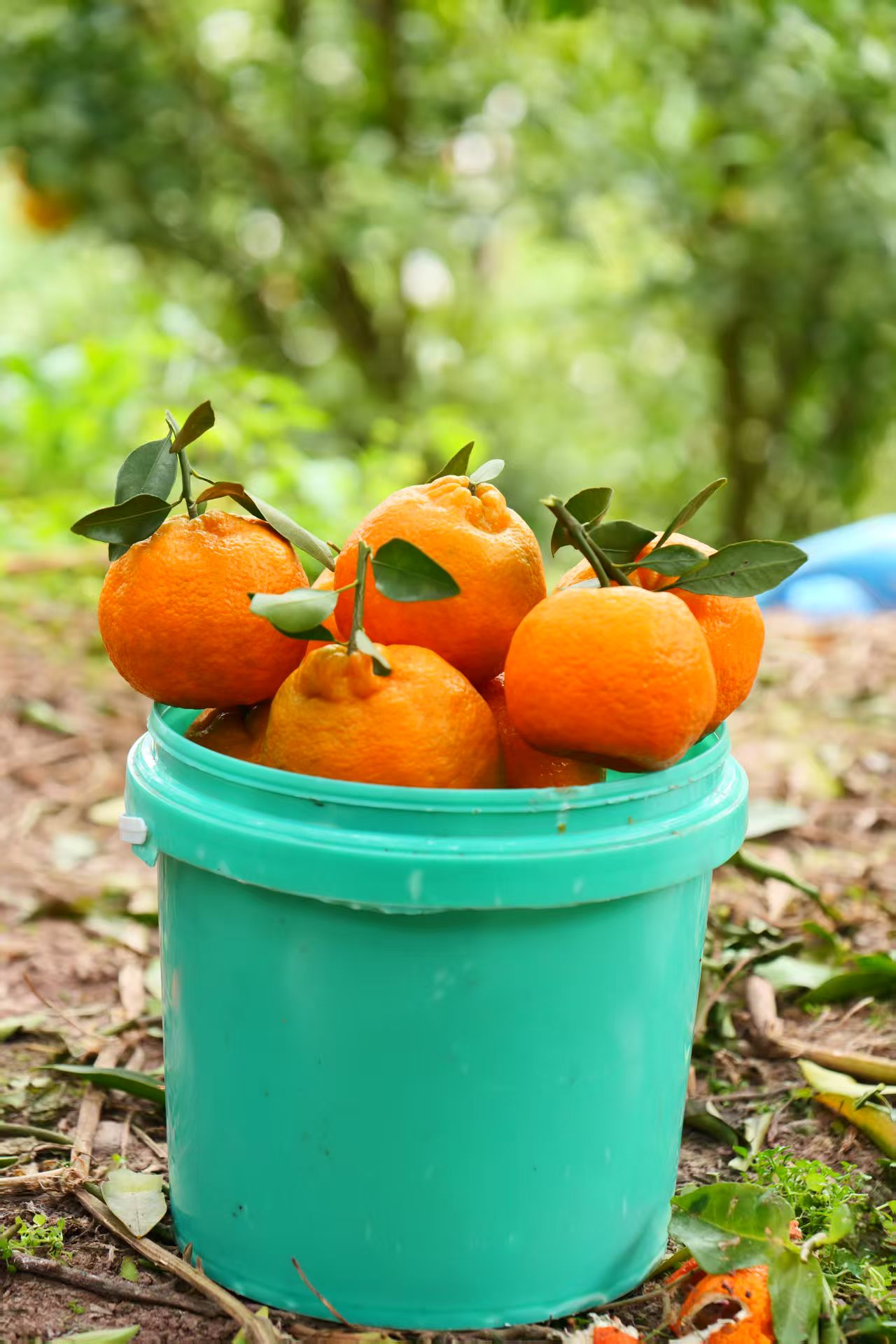 1765785964871641.jpg e26cbf016cafe698441ee05fdd07dbf.jpg