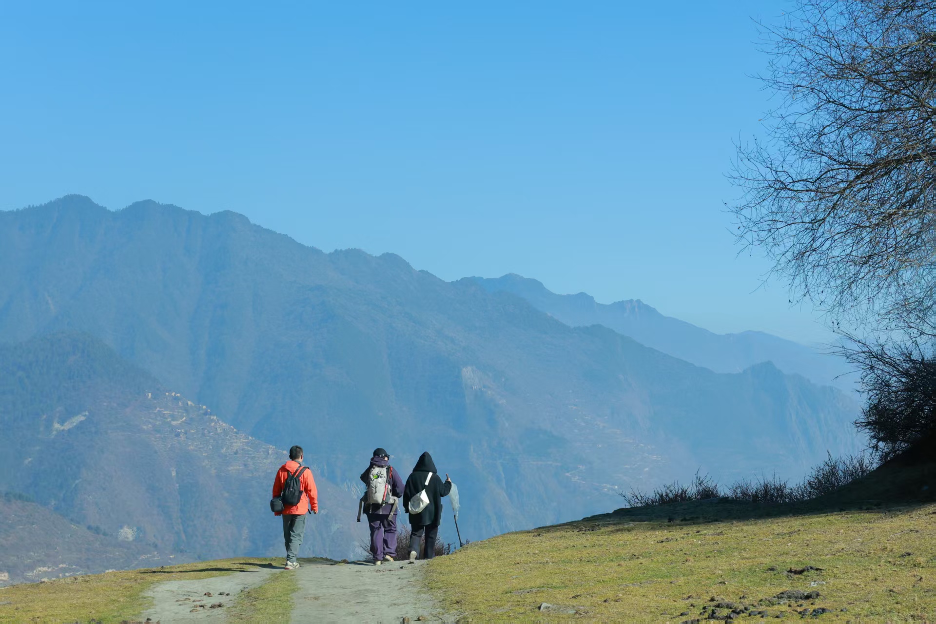 1766368397354331.jpg 3249db110d10116093d221b4ed5a84a.jpg