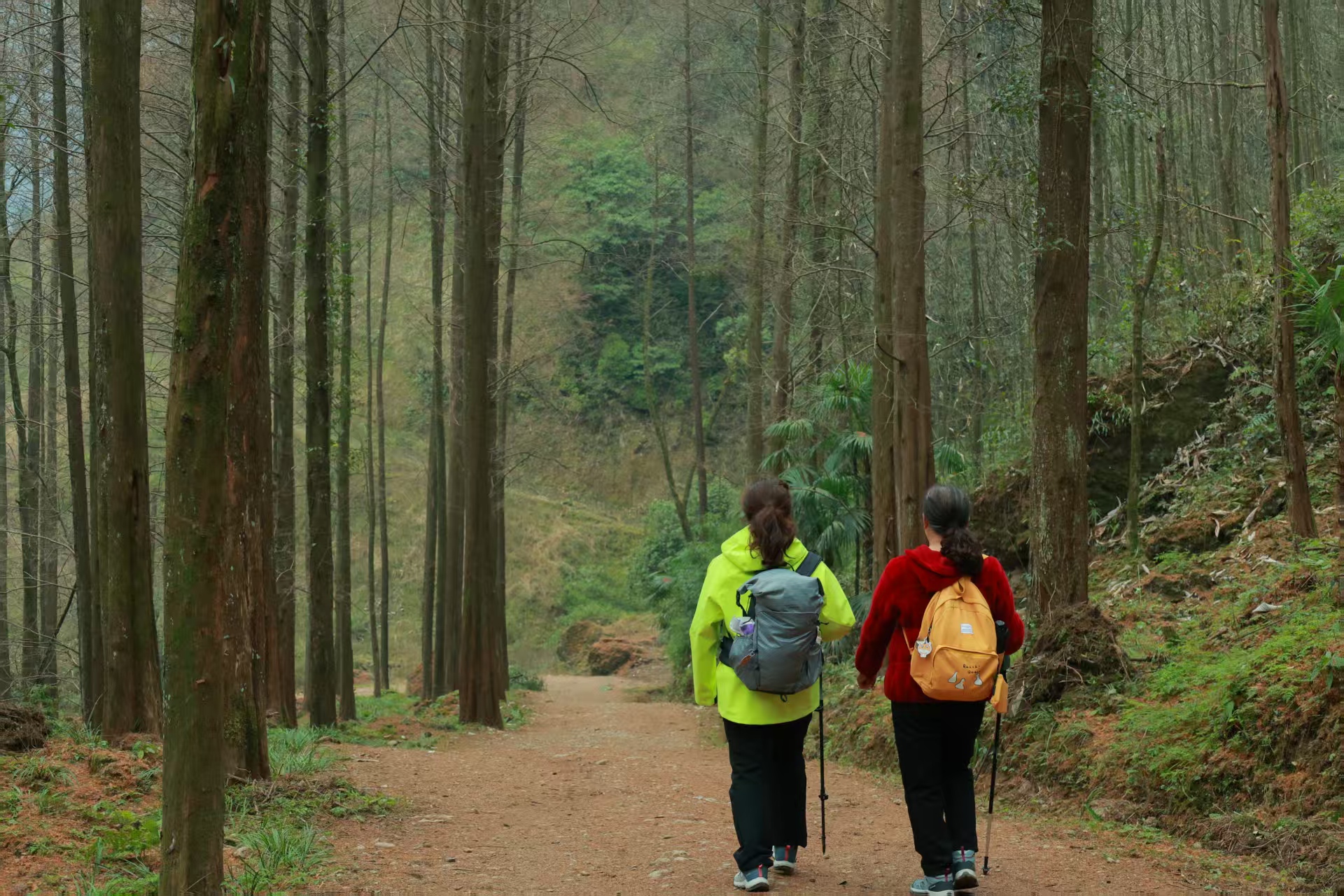 1766649444273245.jpg 4dbfbf6e000ef0a9cbc43ad8e543187.jpg