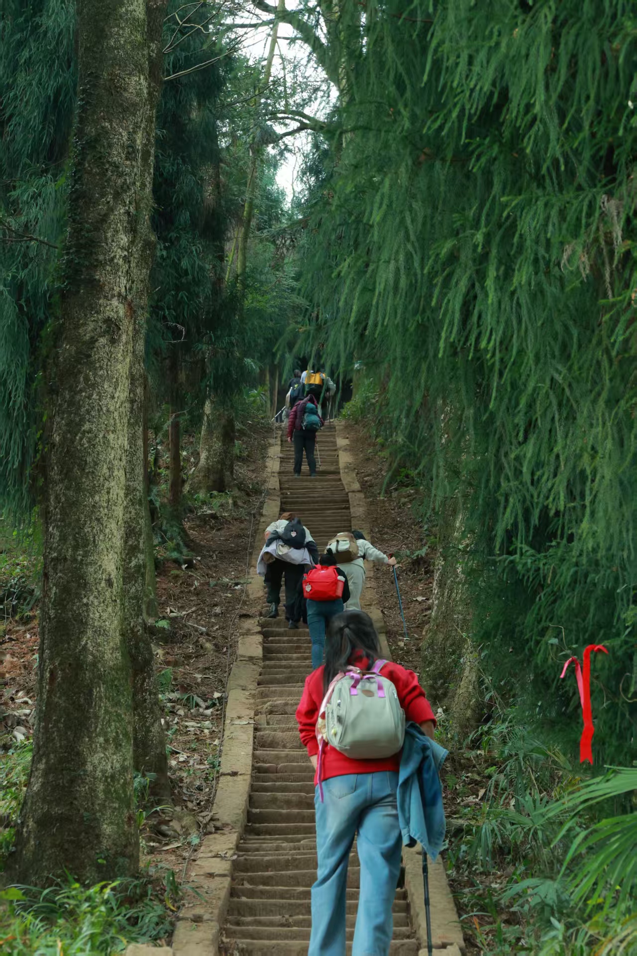 1766649461623908.jpg c4151c323320e98830642847948aec2.jpg