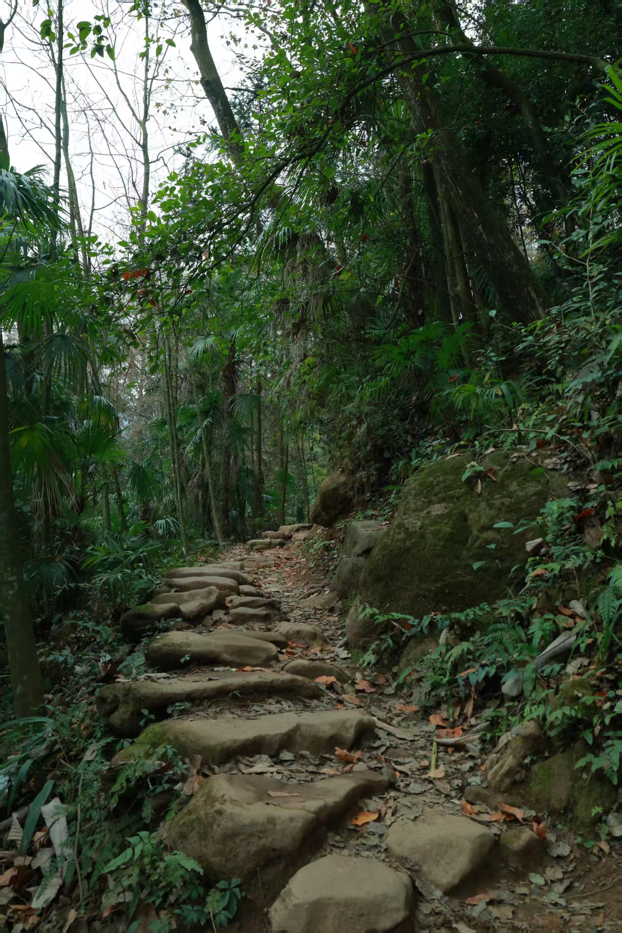 1766649469471074.jpg 9c6cfe9774502990699b352c1c7f2c0.jpg