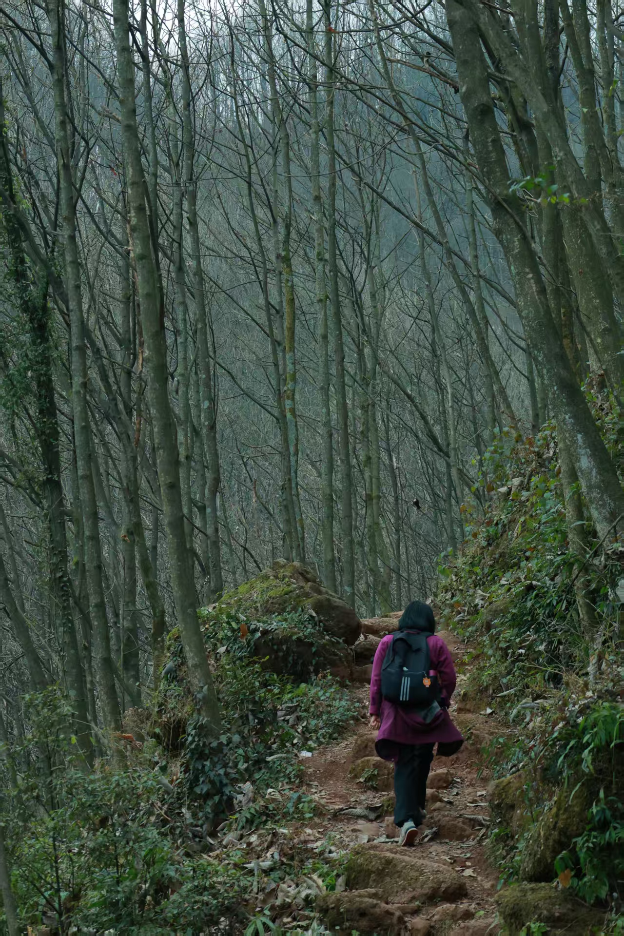 1766649492518777.jpg bce4dafbd01c48d075e4cda18e6e6e4.jpg