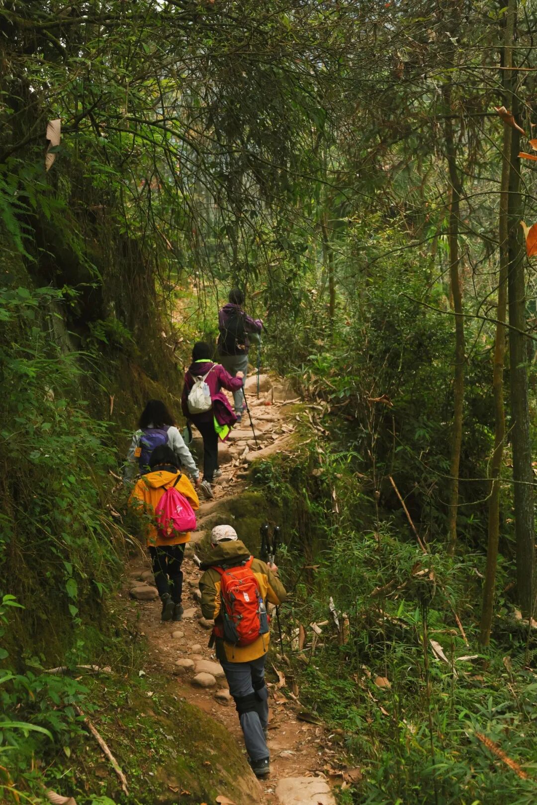 1766649768529002.jpg 02992b35910180c66fc5b114c075f47.jpg