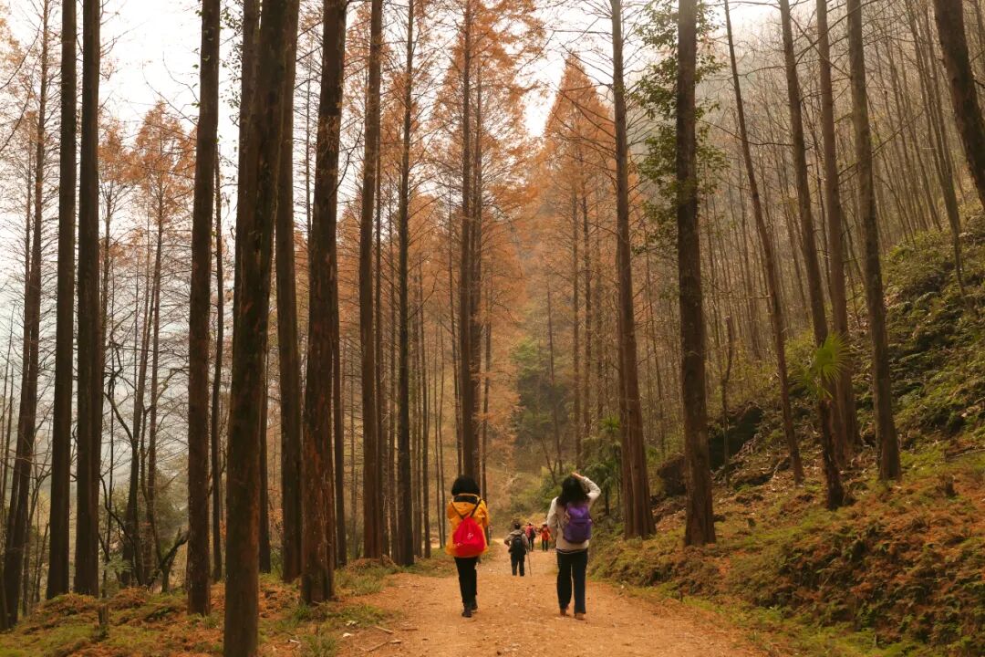 1766649801921630.jpg a0ee476b7f702aca3e285129566ff3d.jpg