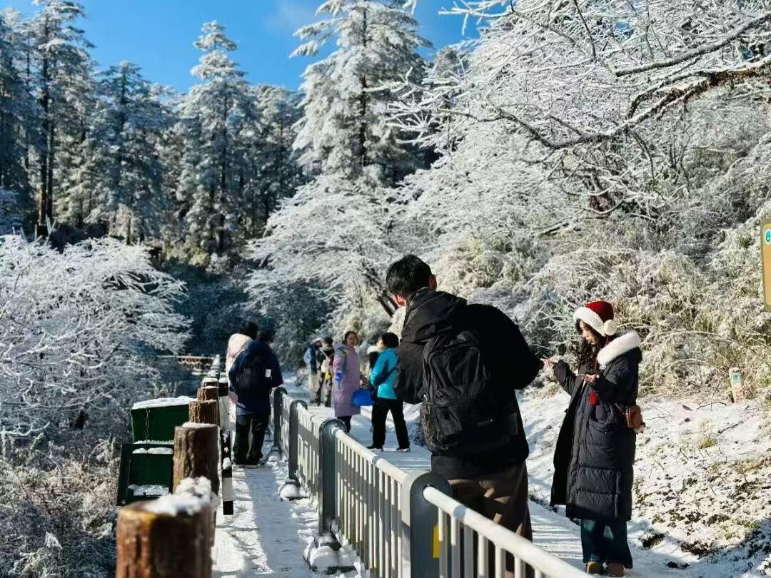 1767159078300290.jpg 9adf00ea2a76a6ab13978aace38afe4.jpg