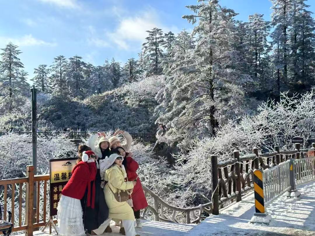 1767159088422912.jpg 90c4a1c79fcc898b7db64314220dbcf.jpg