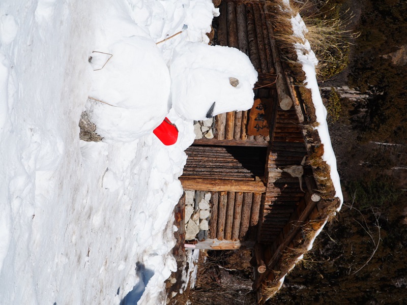 1767260121942817.jpg 2a22f37437c3c97420b4a6332217c6e.jpg