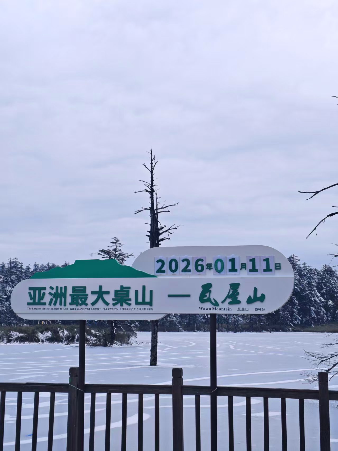 1768183229802696.jpg ef90e762ffe0cf5cd324800ef681740.jpg