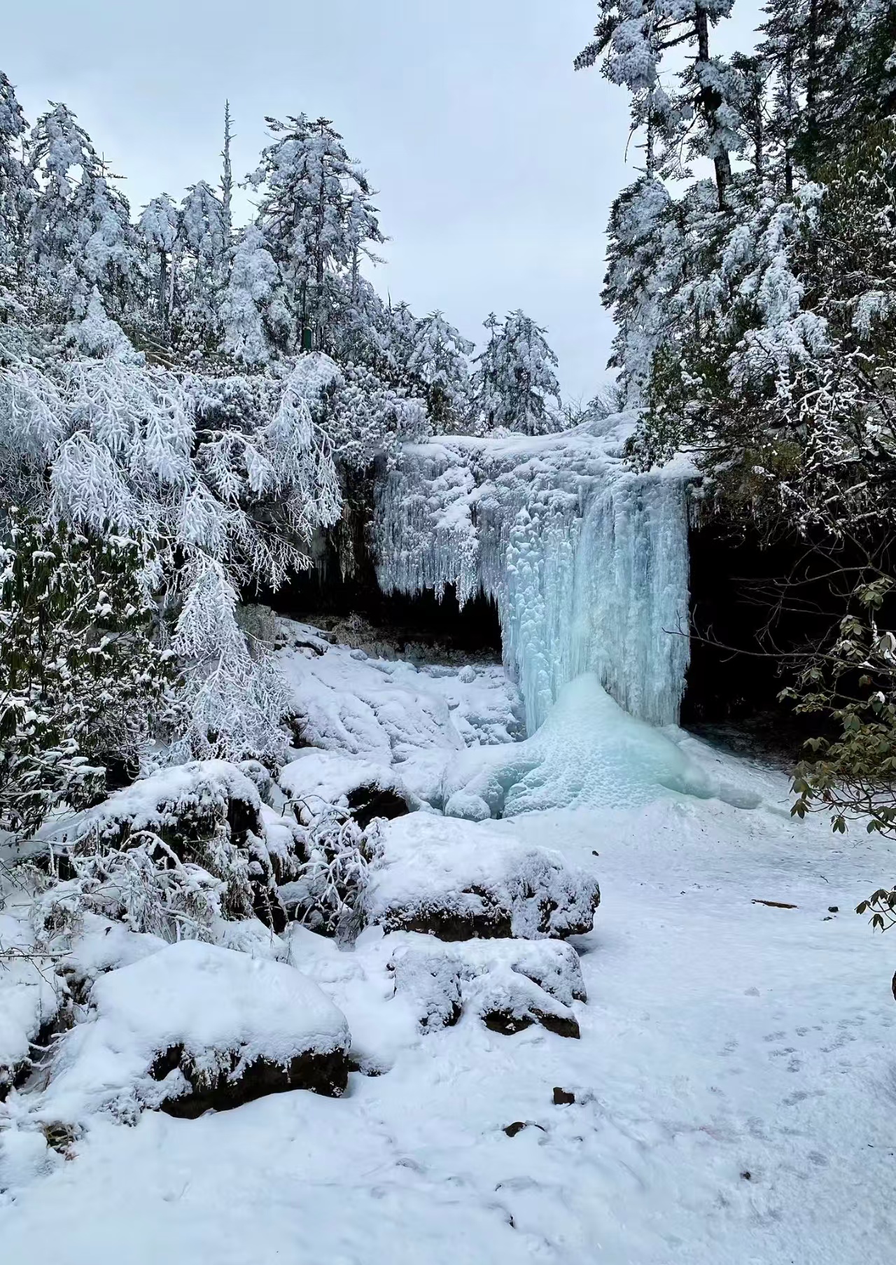 1768183238324536.jpg 17cdbaf65c7b415083e78f1b3886bc0.jpg