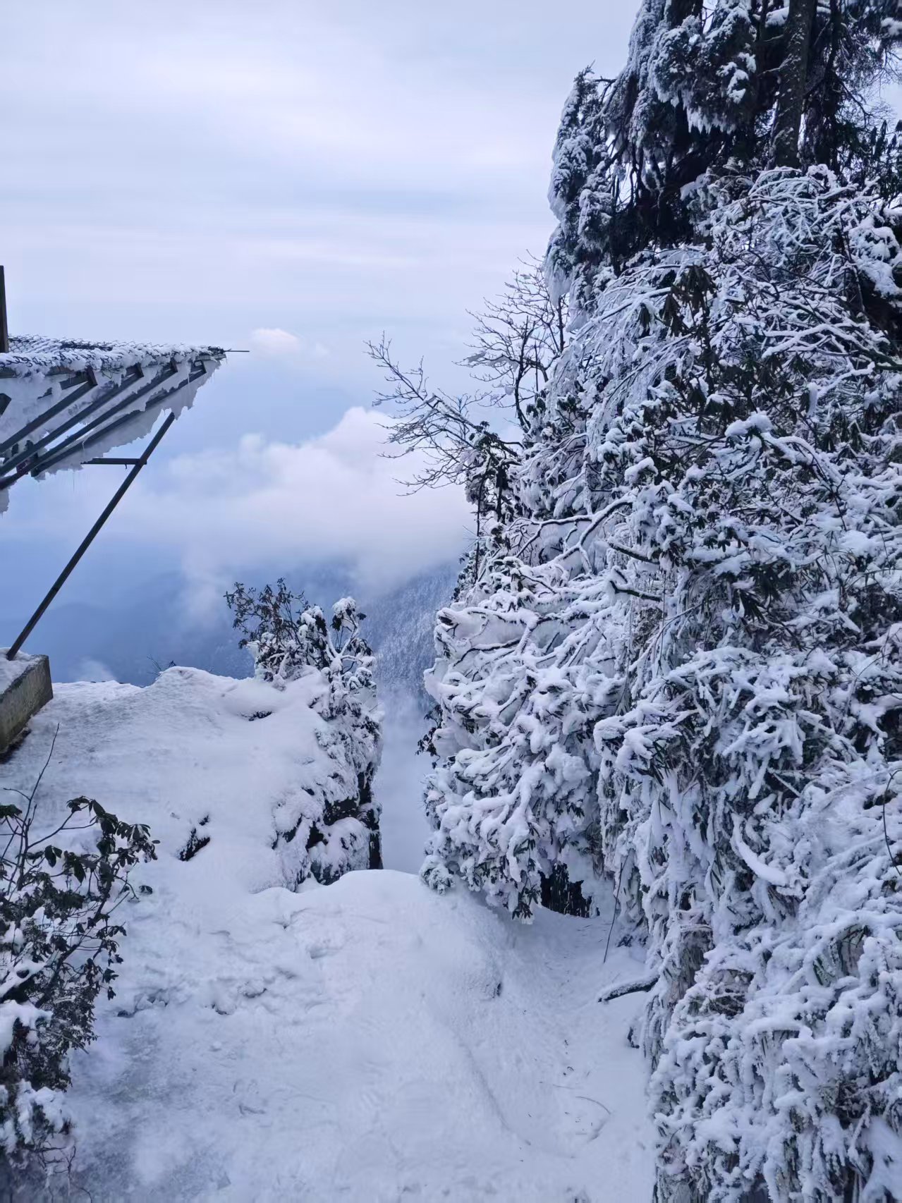 1768183251301869.jpg 787b16f1addcc4de5ebe646a1279ed8.jpg