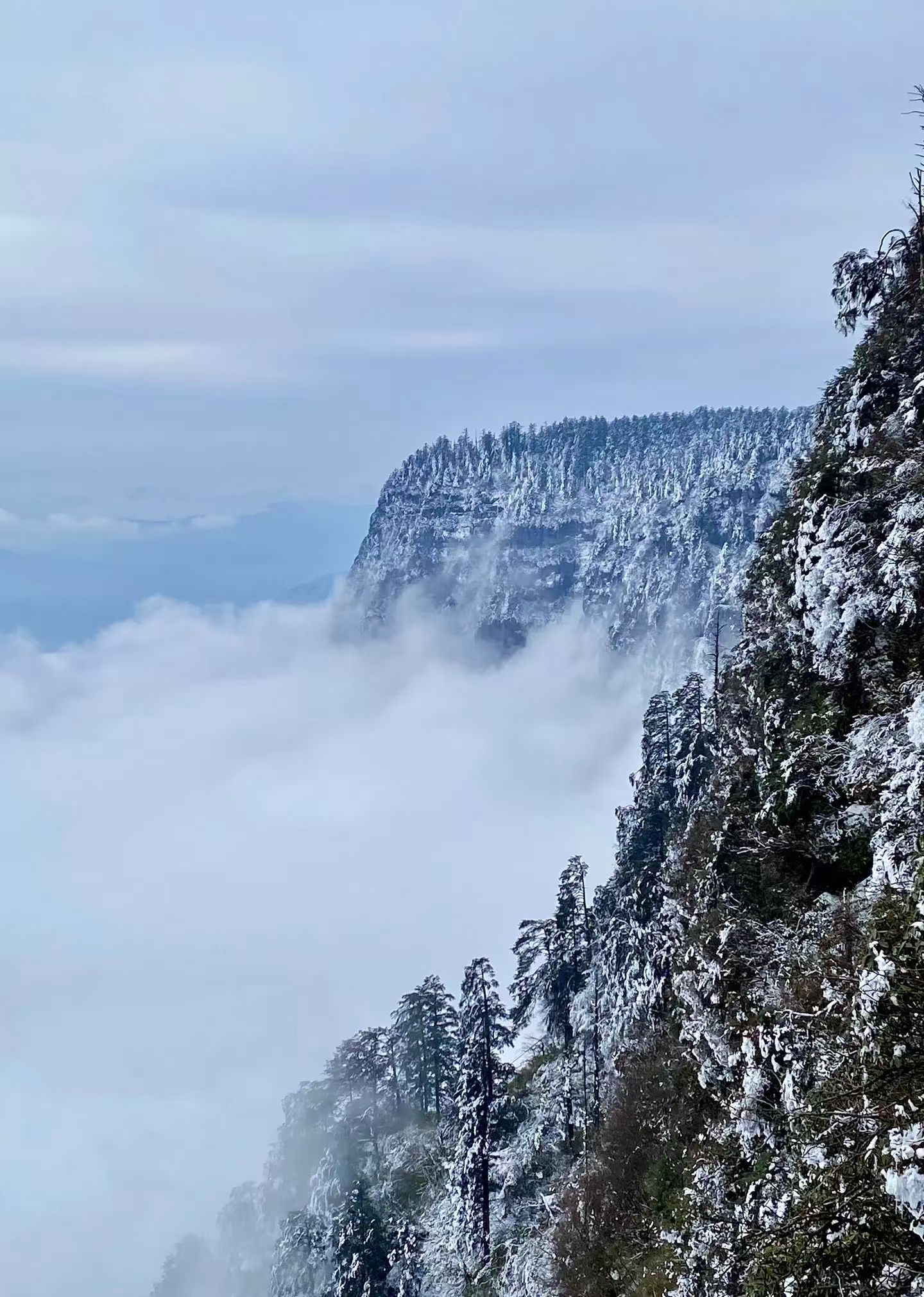 1768183259211848.jpg ea2bee3023cb0965fe1278327b0e83b.jpg