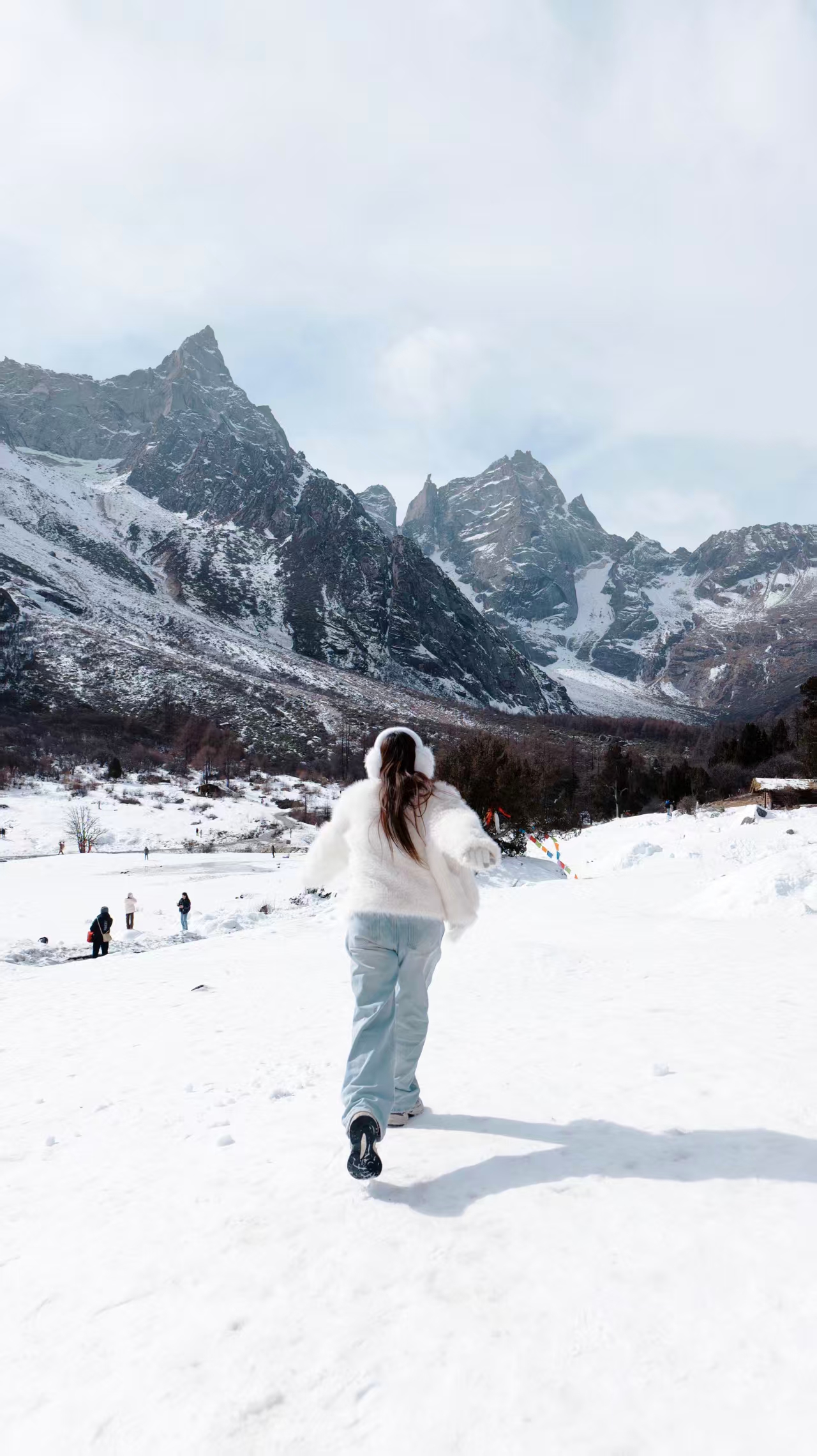 1768440523713956.jpg 52aae62ced71a0cd7e5e89fc5c81975.jpg