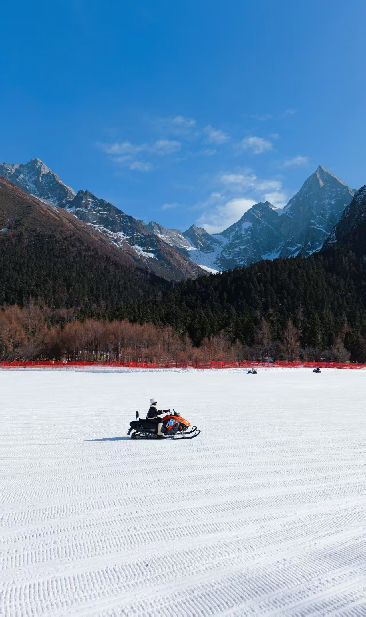 1768440533880523.jpg f16a703f5a9026a21c55f8e4cebd00f.jpg