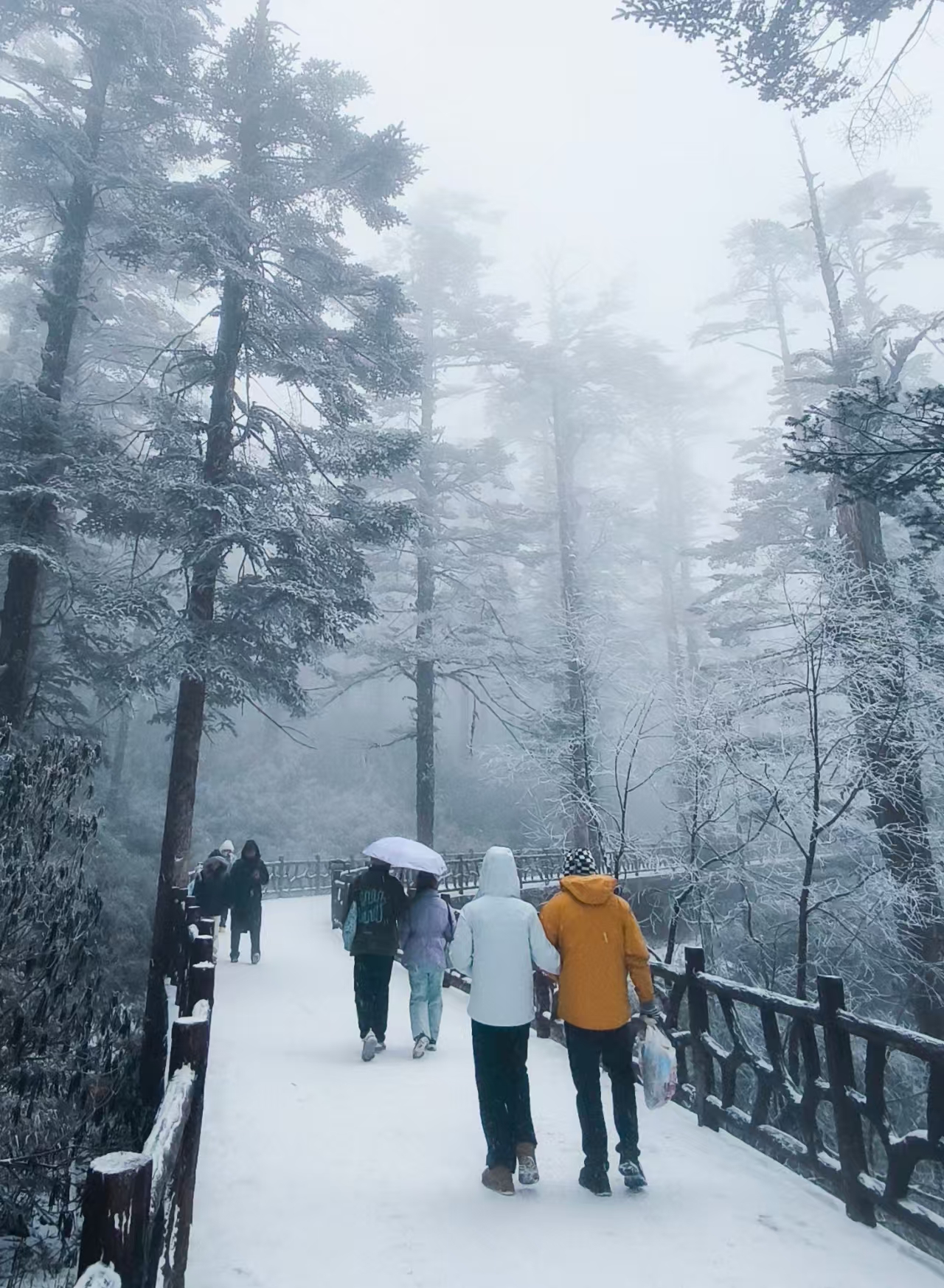 1769391538178050.jpg 0fce60cf9c424b7c0b85f0afecc0249.jpg