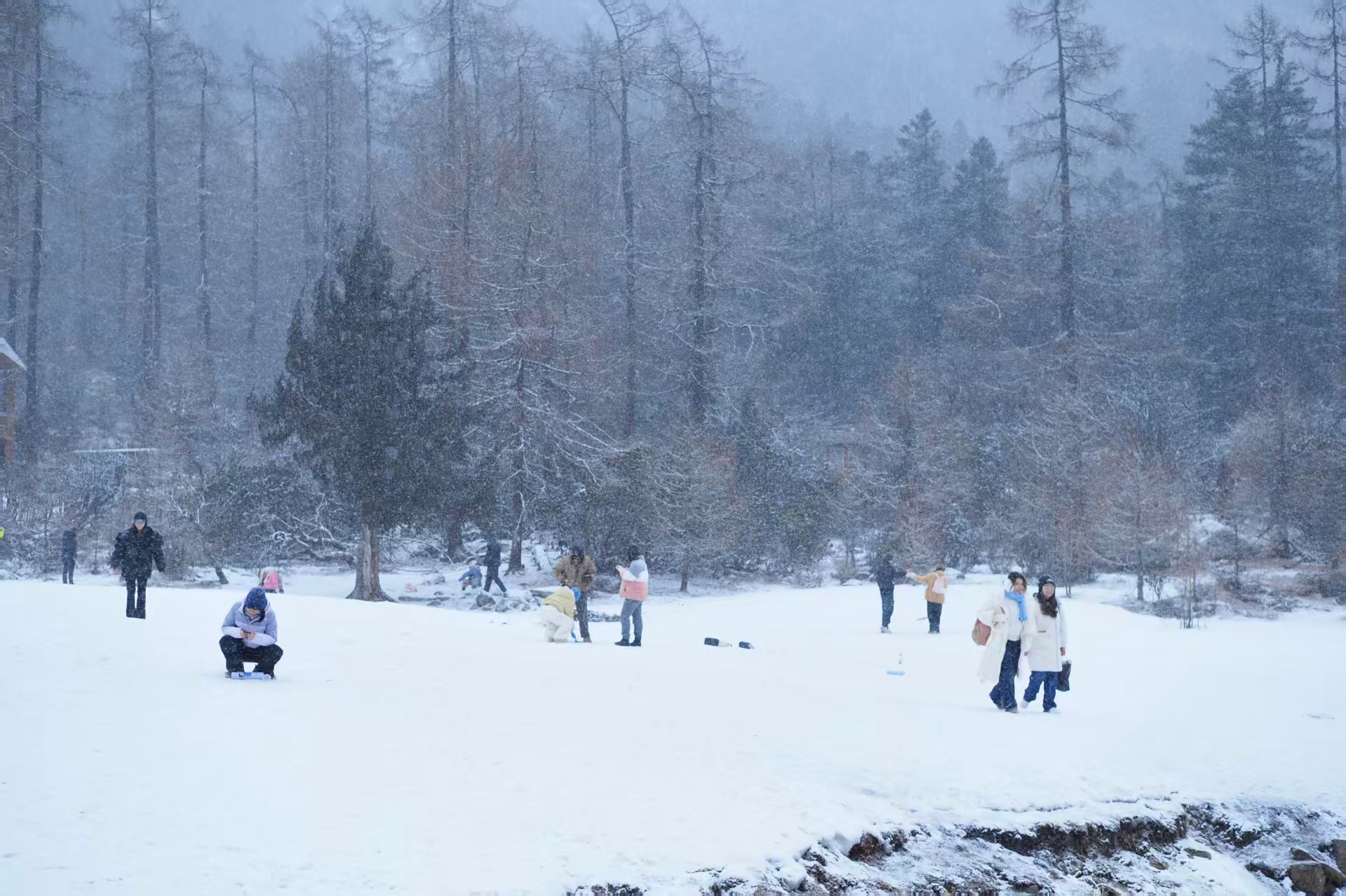 1769825455955830.jpg 微信图片_20260131101037.jpg