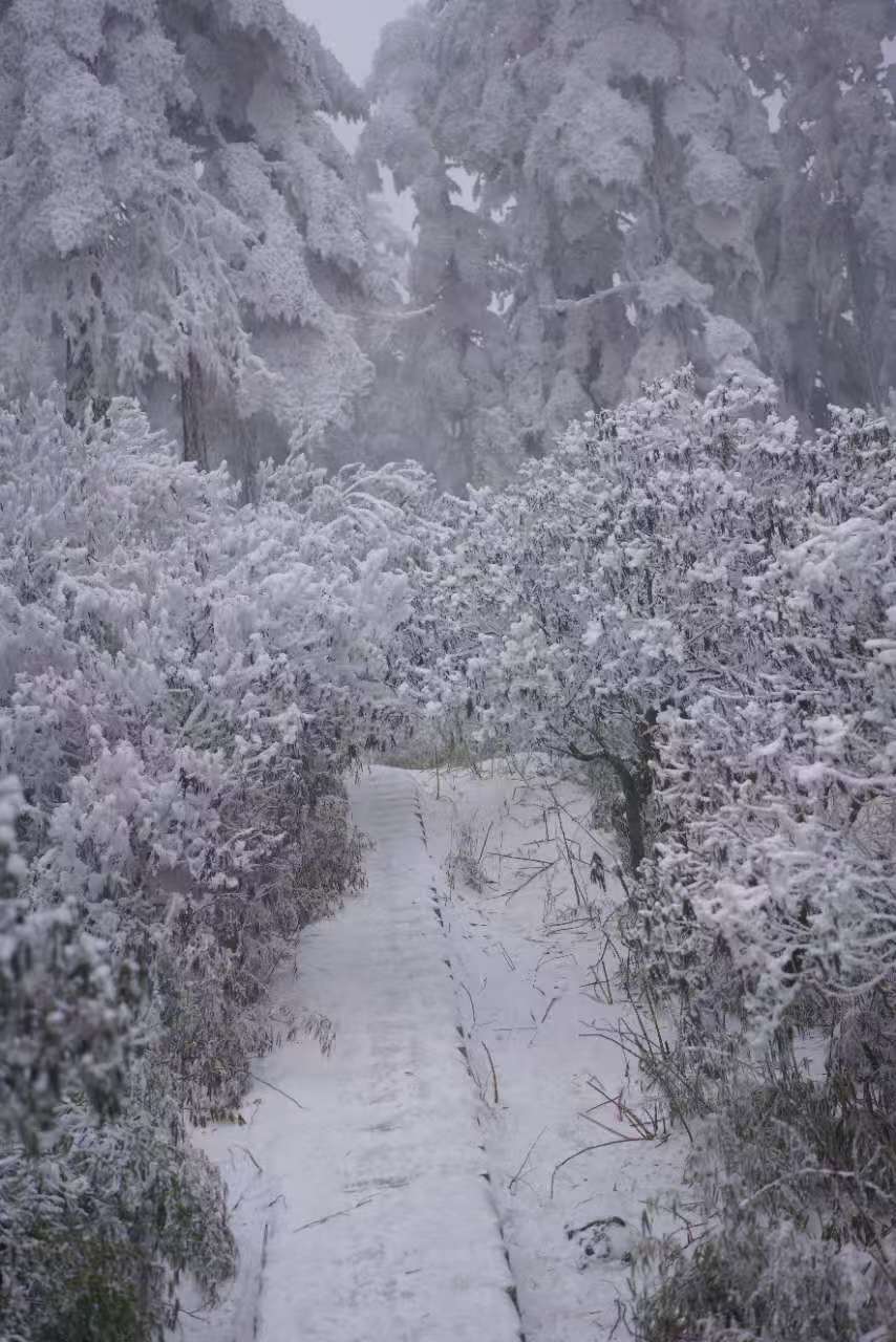 1770275542605584.jpg 170e8e6769501ad92e5db17e2e6edaa3.jpg