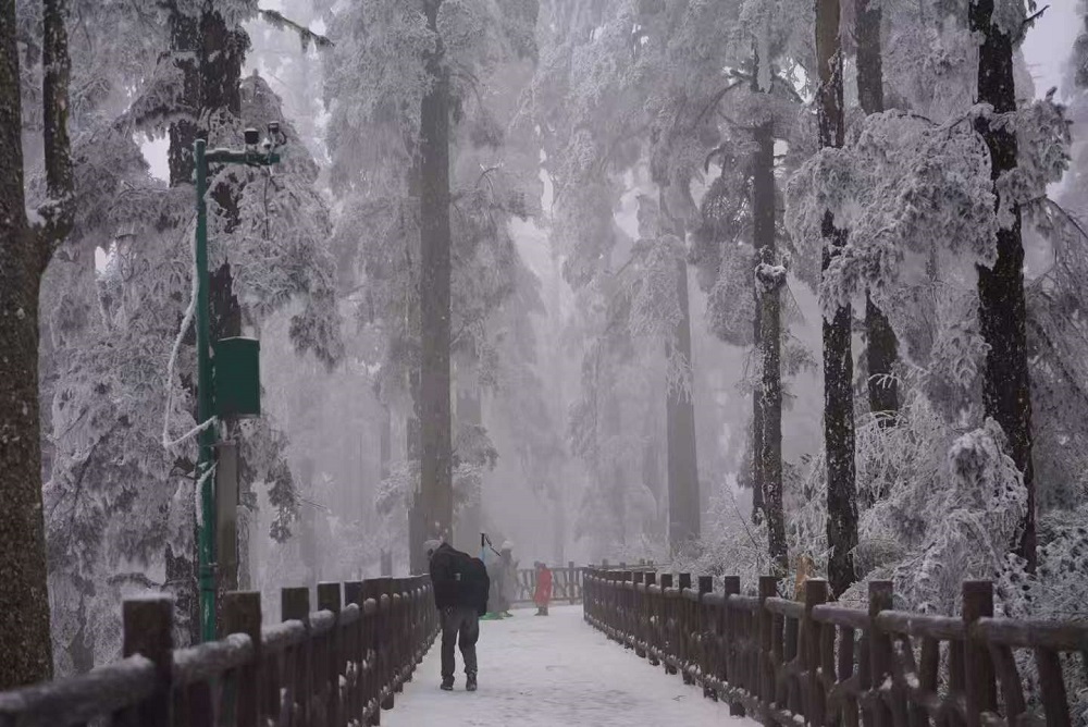 1770275548644387.jpg 50ba9eea4b8bbede45f5a06a5de5e37d.jpg