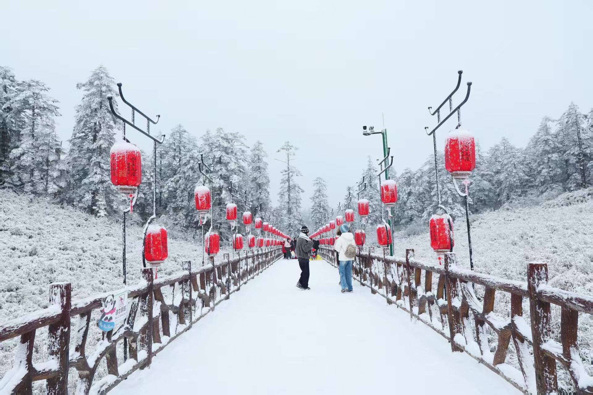 1770550872957356.jpg 微信图片_20260208193754.jpg