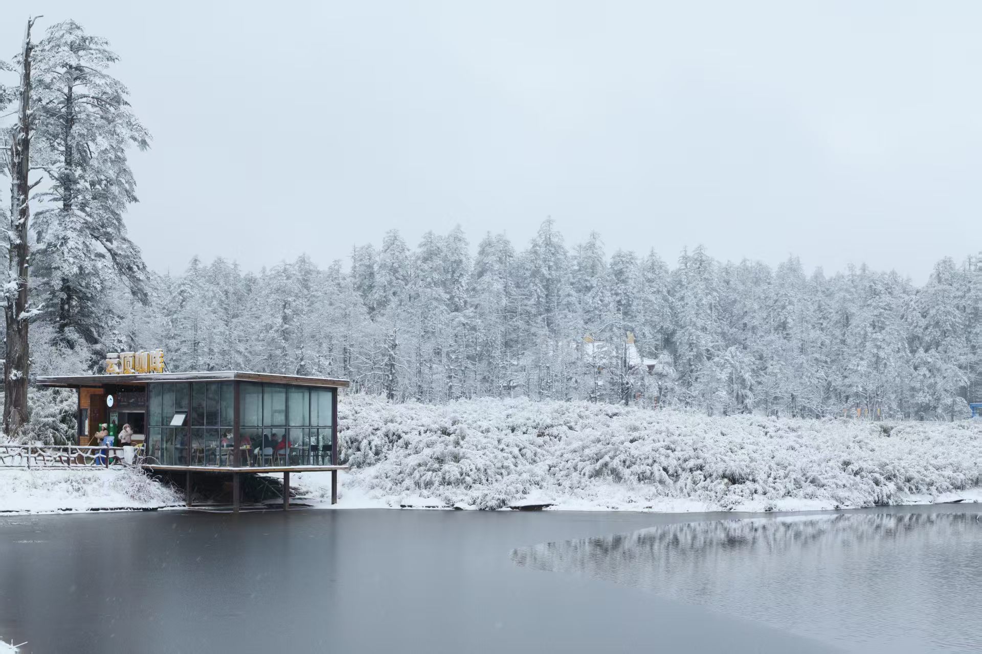 1770550874657185.jpg 微信图片_20260208193800.jpg