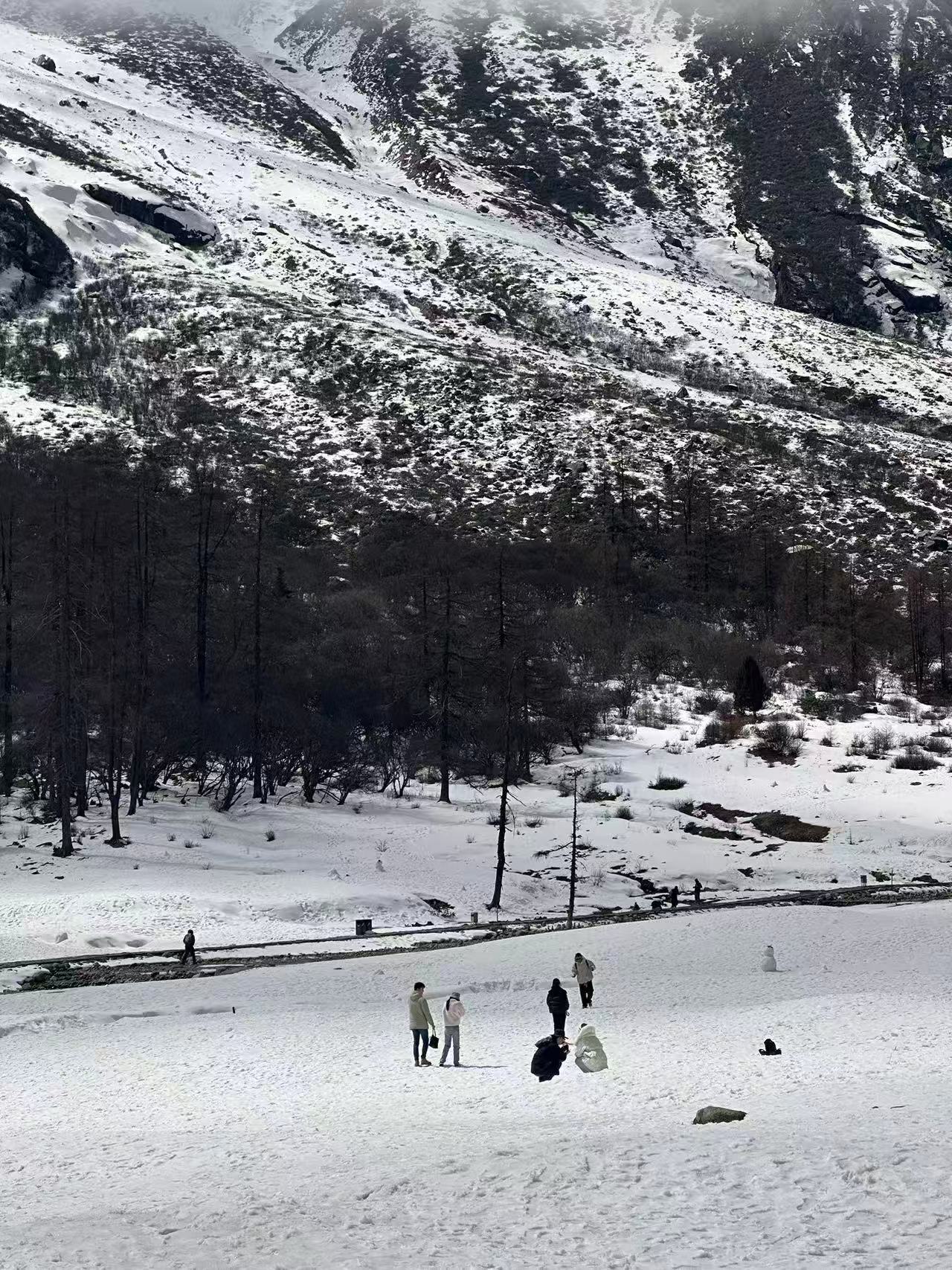 1773020044813115.jpg 微信图片_20260309092800.jpg