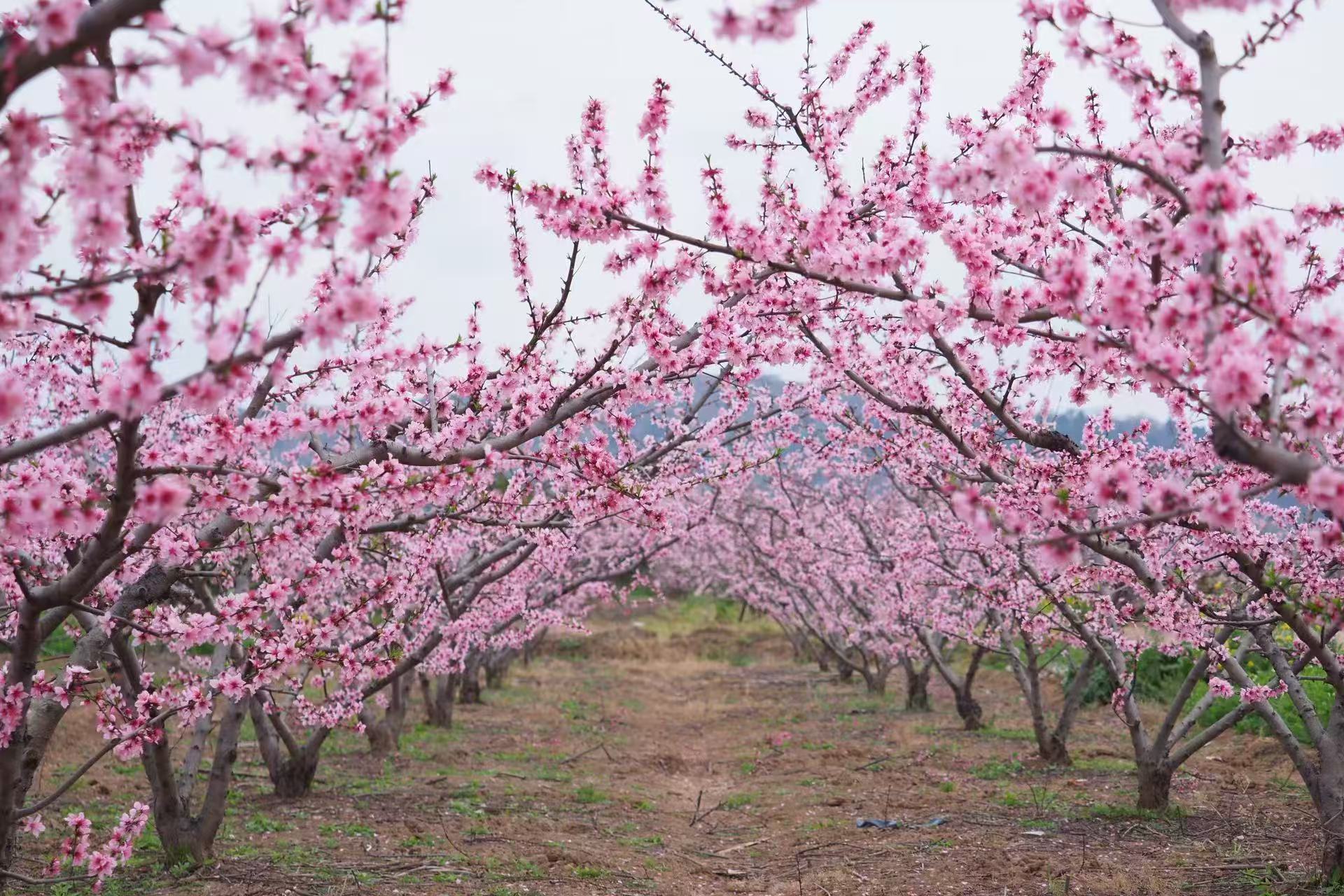 1773192394911171.jpg 微信图片_20260311092603.jpg