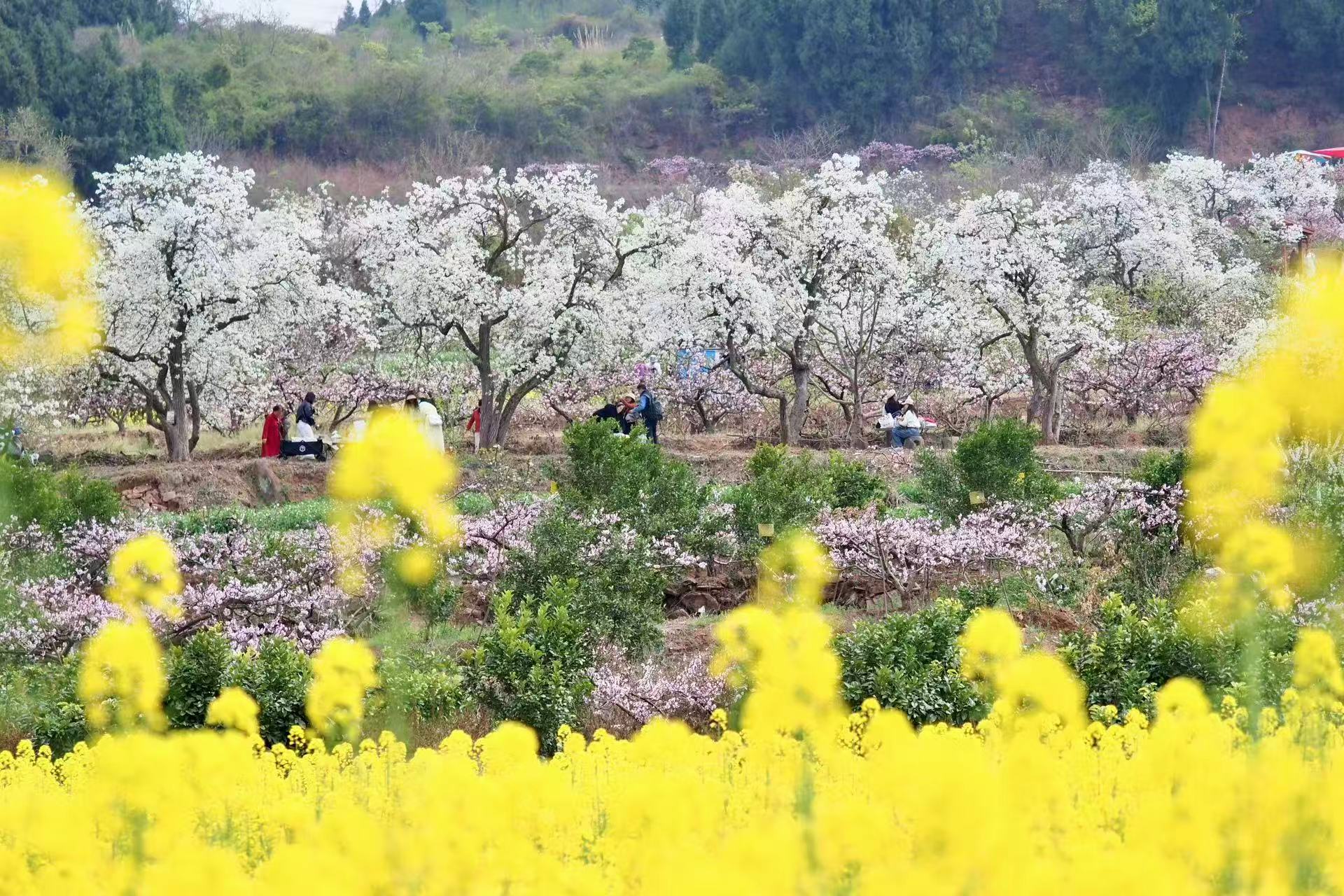 1773192396115073.jpg 微信图片_20260311092605.jpg