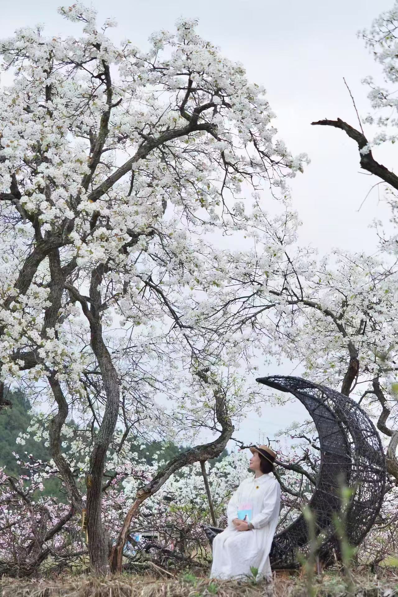 1773192398848689.jpg 微信图片_20260311092610.jpg