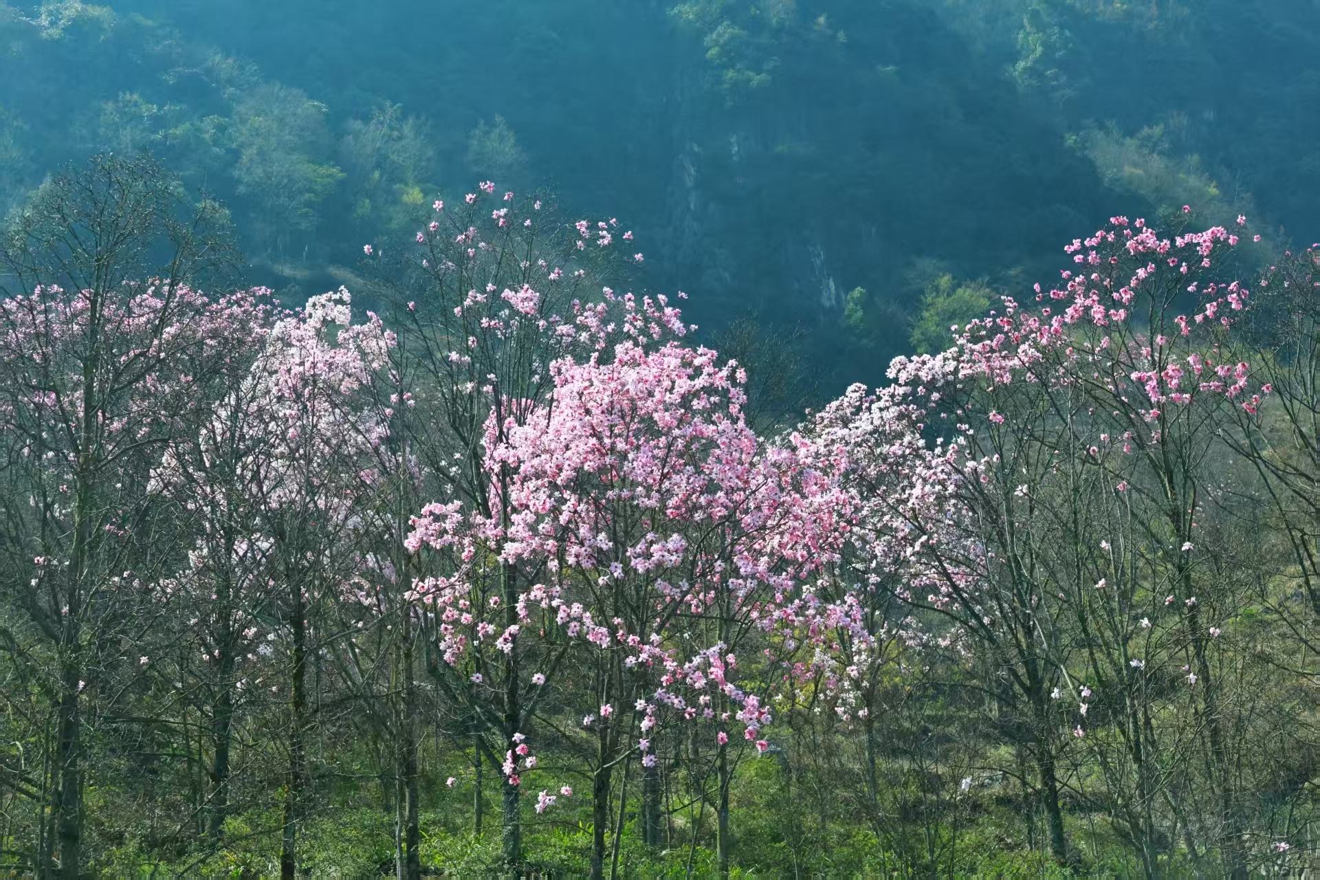 1773279839160858.jpg 微信图片_20260312094229.jpg