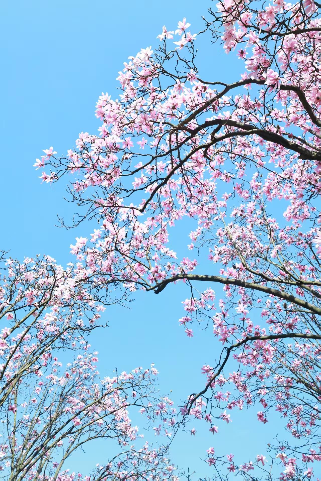 1773279842752024.jpg 微信图片_20260312094234.jpg