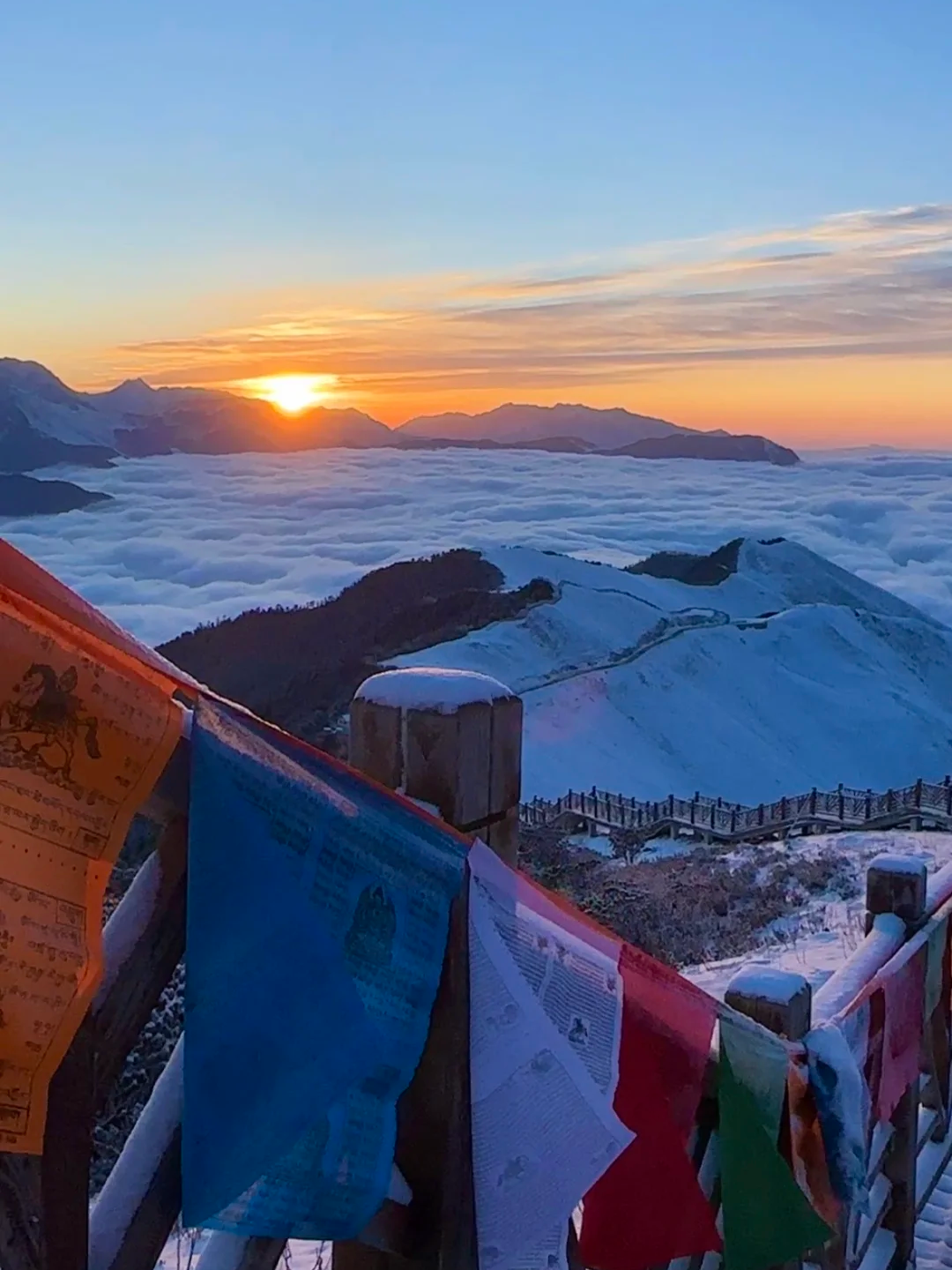 1773283634909253.png fd15bdeb0c2d827beaab2056c16bbaee.png