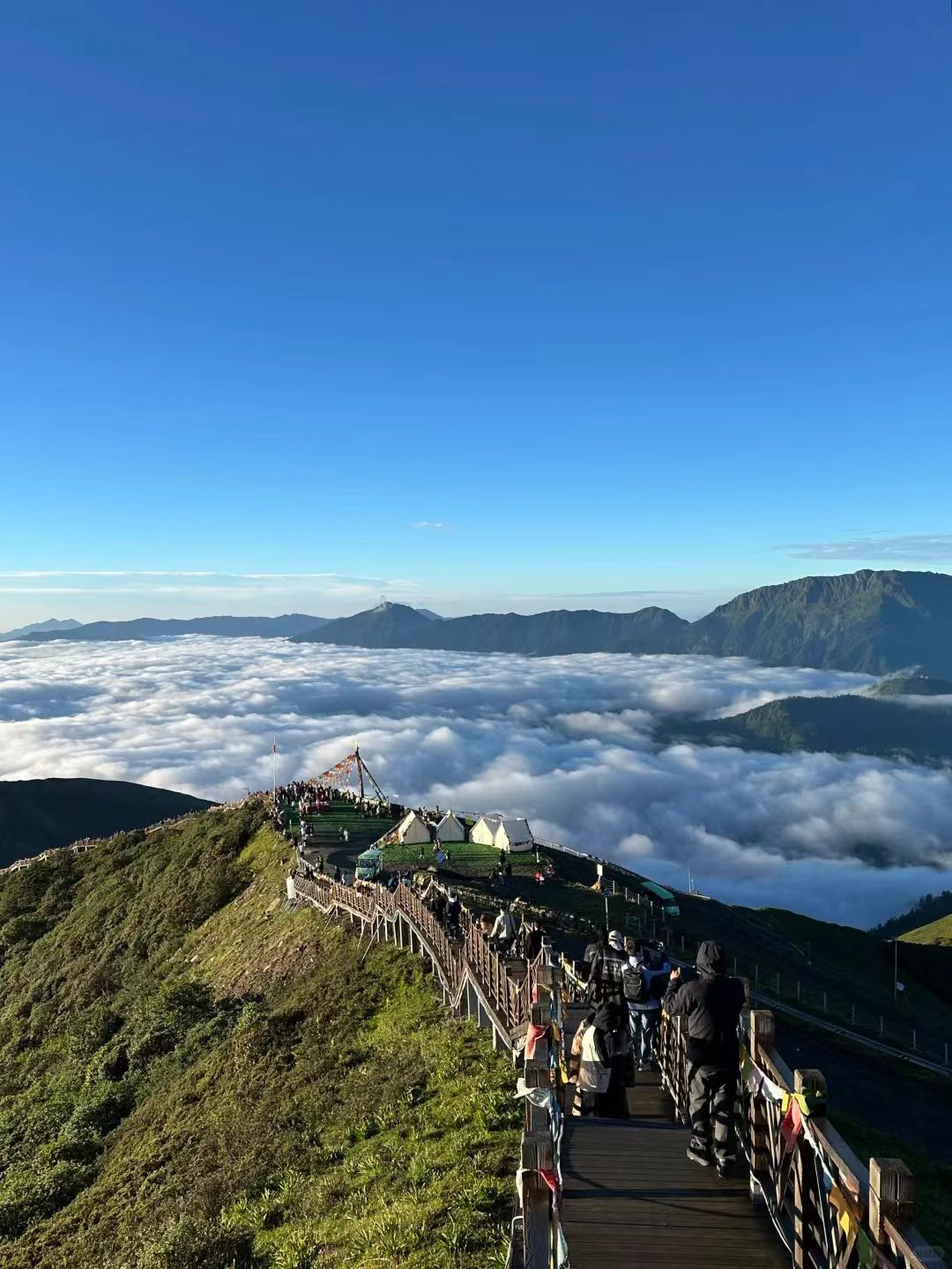 1773283659821014.jpg 7e444a15bfbc9d454fd249b9a37cc7d0.jpg