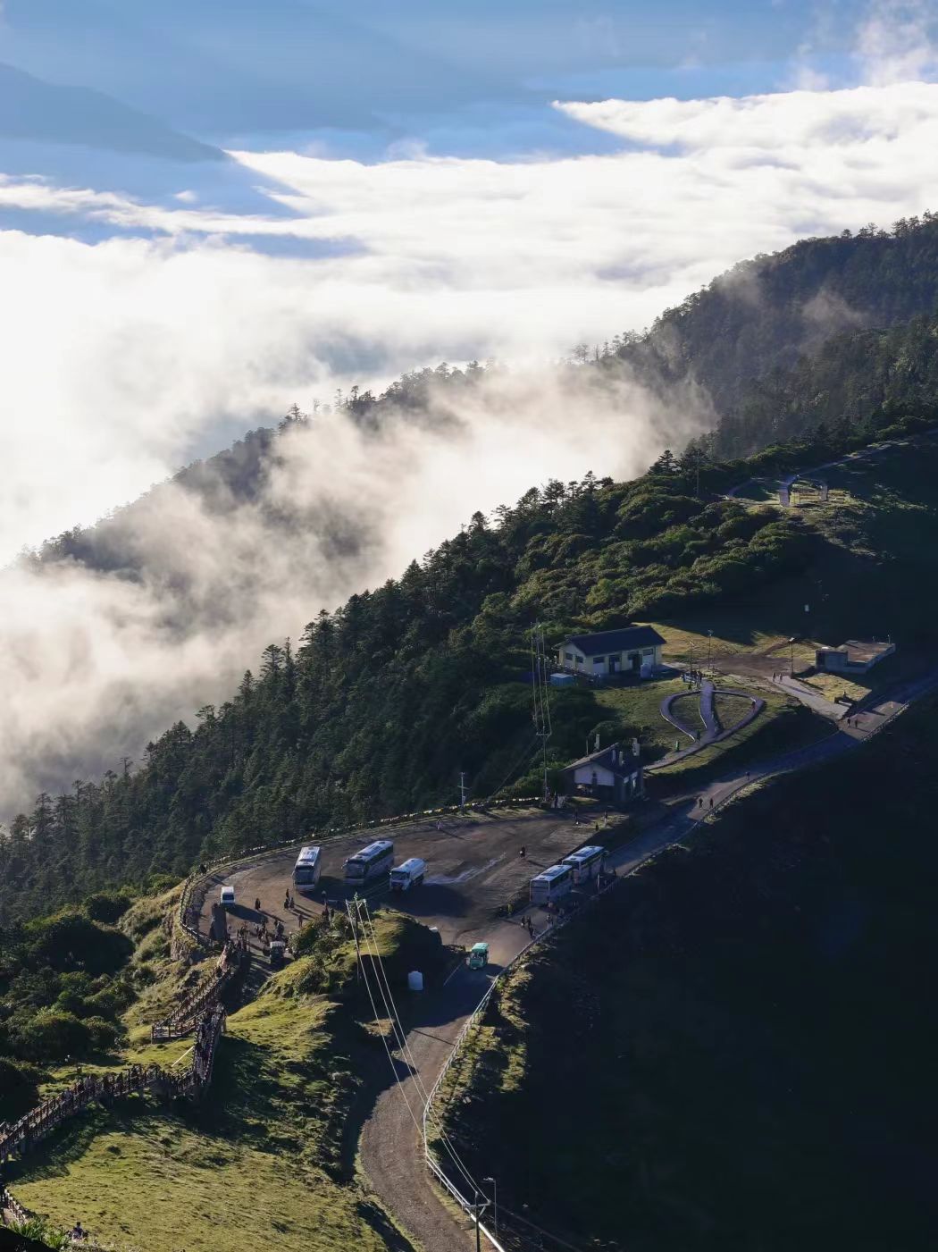 1773283677227906.jpg ede897f96d0a8e13ae319b494bd4fe45.jpg