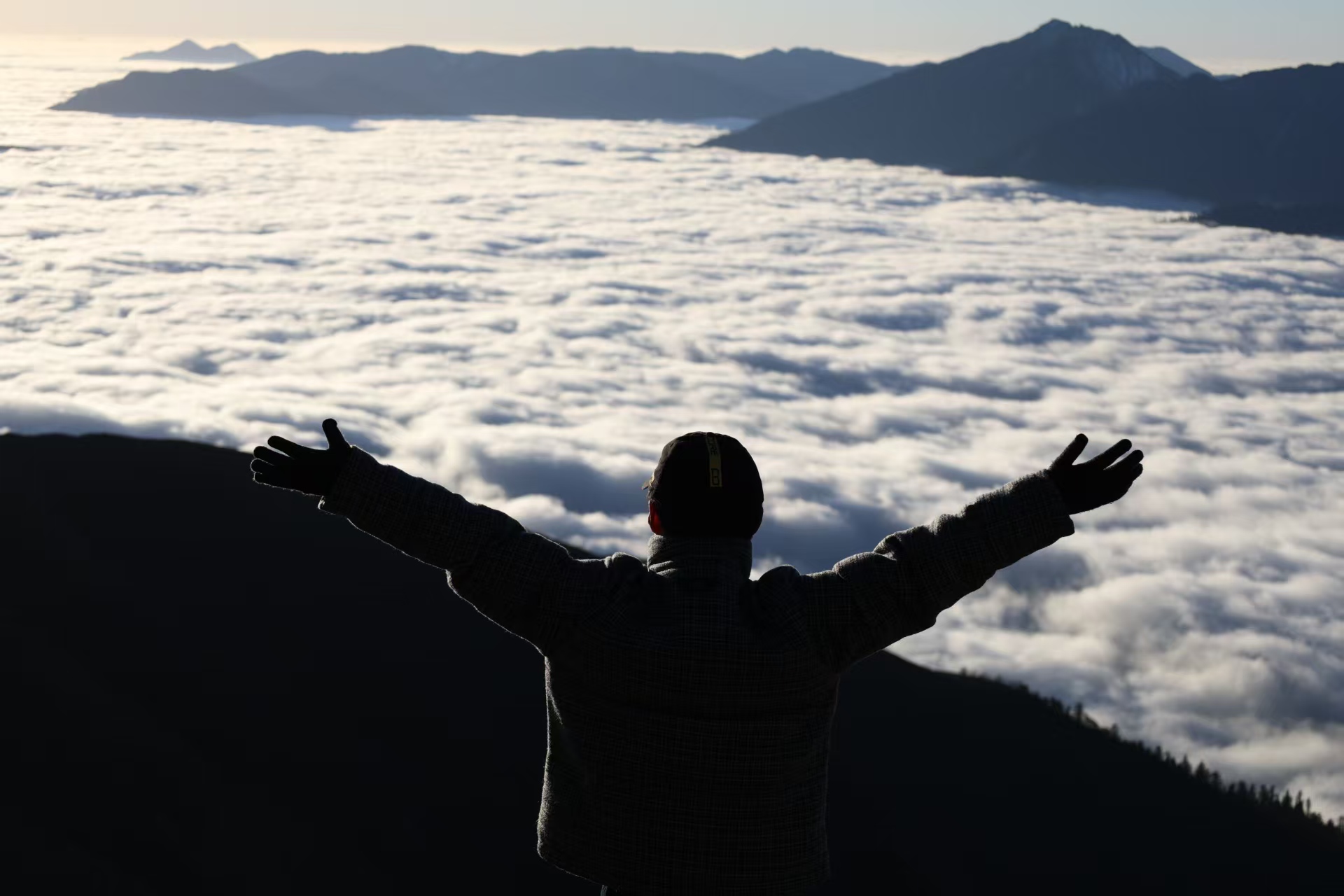 1773283714160094.jpg 1765769893599855.jpg