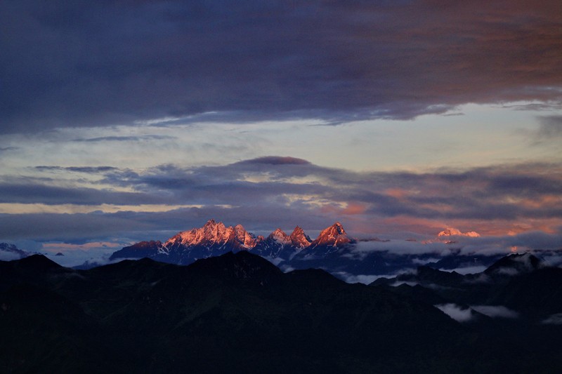 1773283733761502.jpg 1560135489736019.jpg