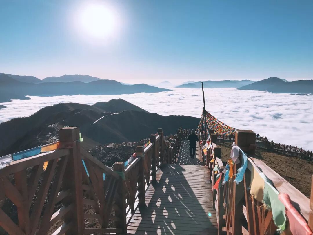 1773283758286680.jpg 640 (5).jpg