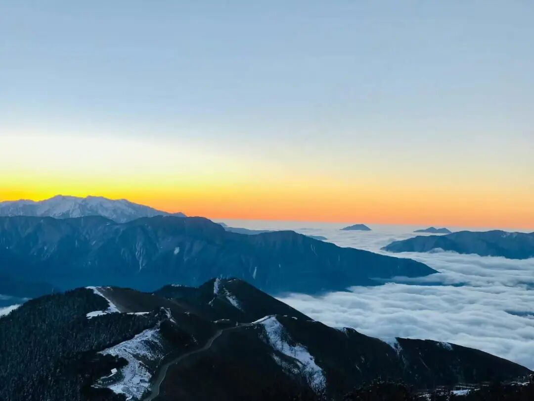 1773283782647729.jpg 640 (11).jpg