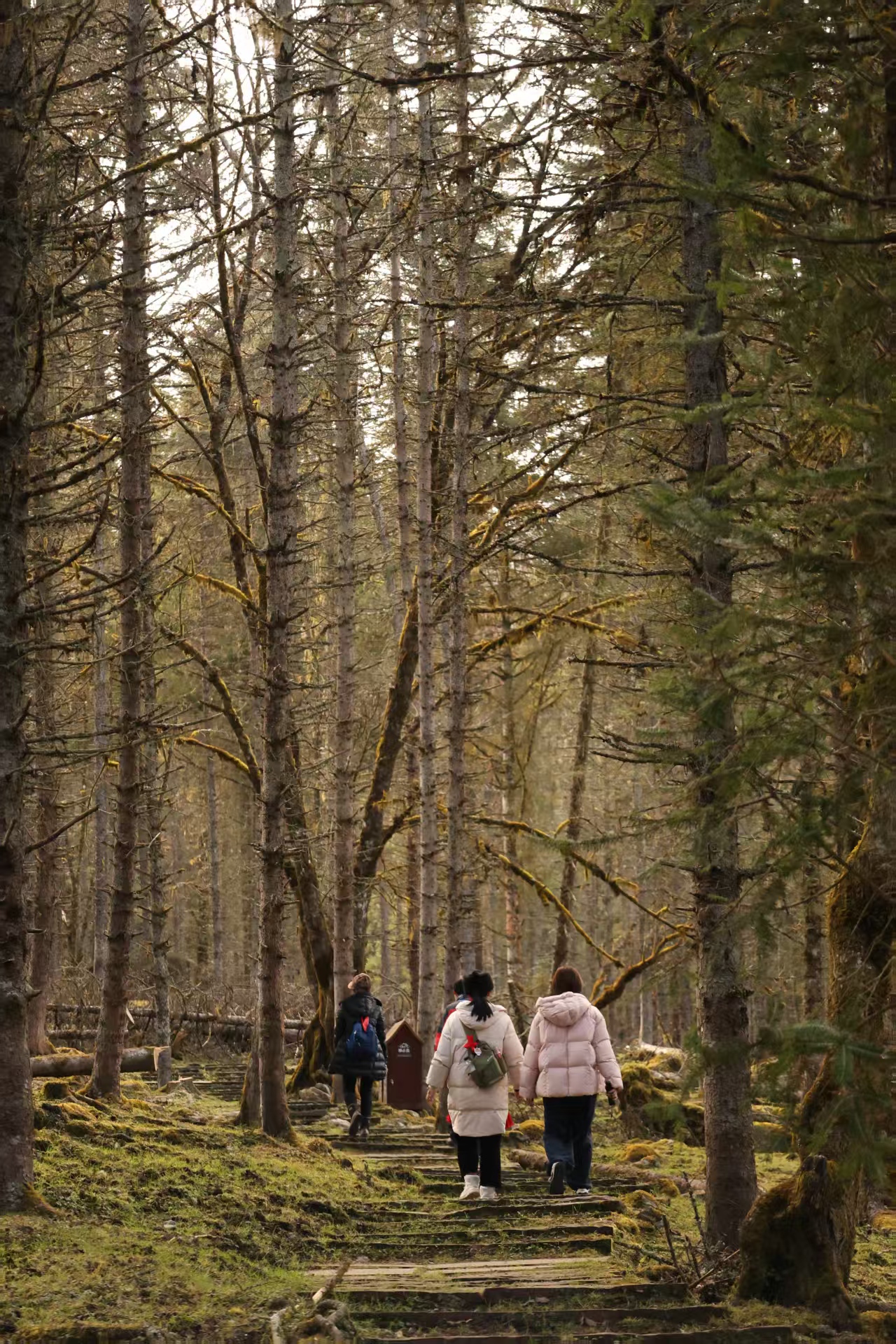 1773283795592067.jpg 1765769958291854.jpg