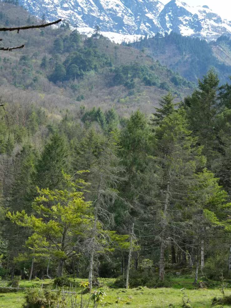 1773283802289012.jpg ecca7ecb49e6bb2558865af6e56f1e8b.jpg