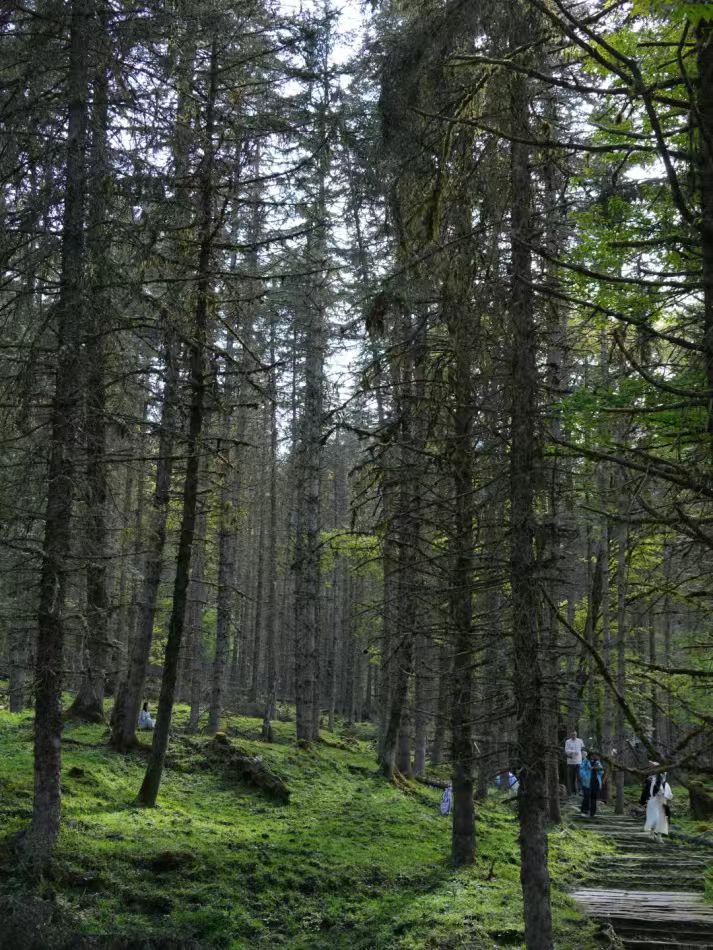 1773283807334531.jpg 6de8410d5a9ff7bd7d5883b59ff4177b.jpg