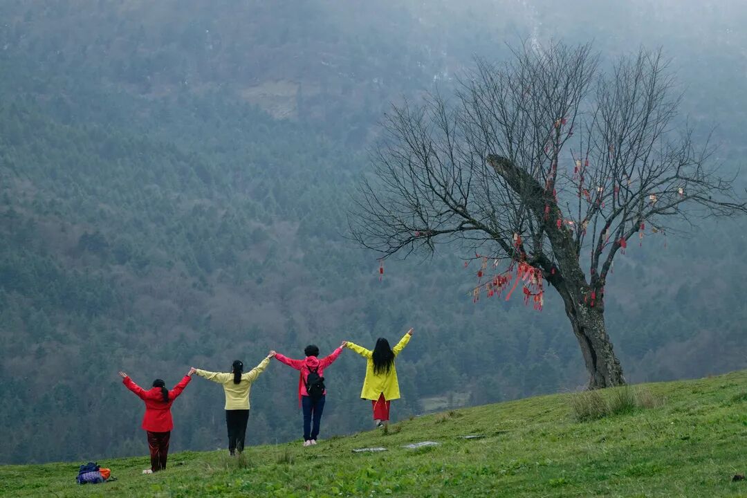 1773283821552657.jpg 640 (9).jpg