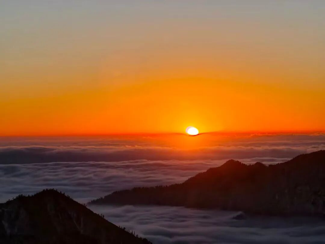 1773294483671581.jpg 640 (18).jpg