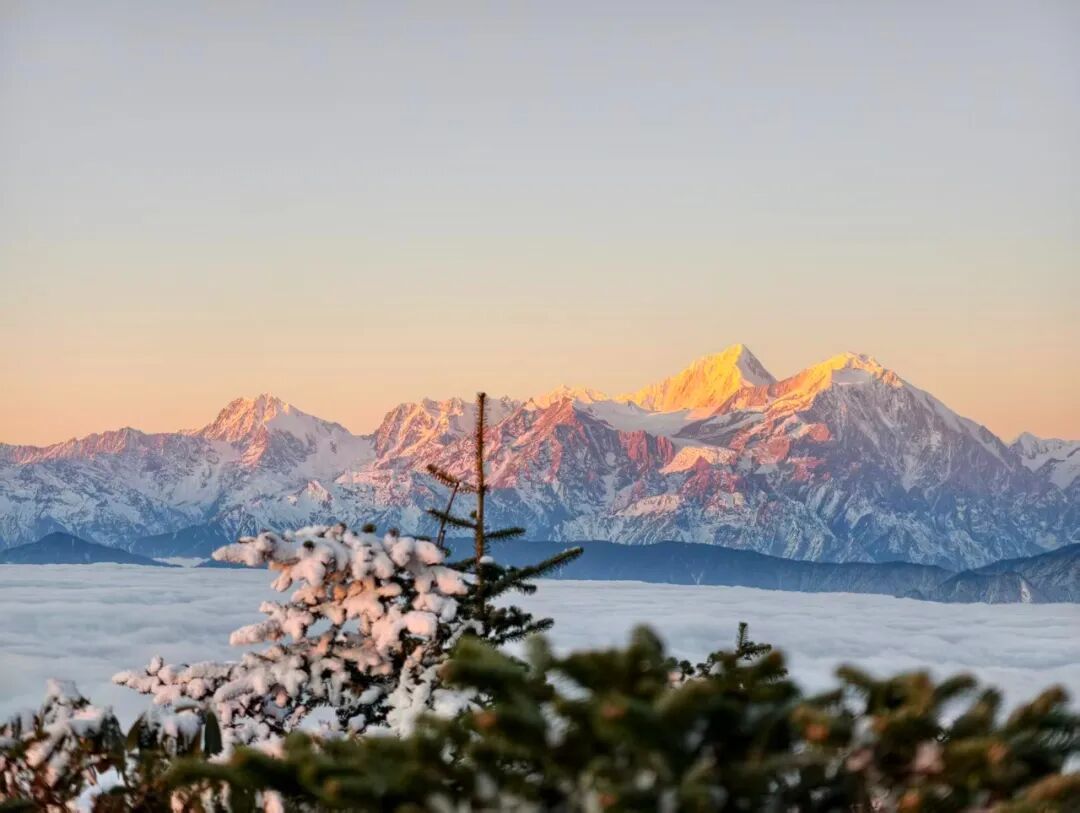 1773294492863809.jpg 640 (17).jpg